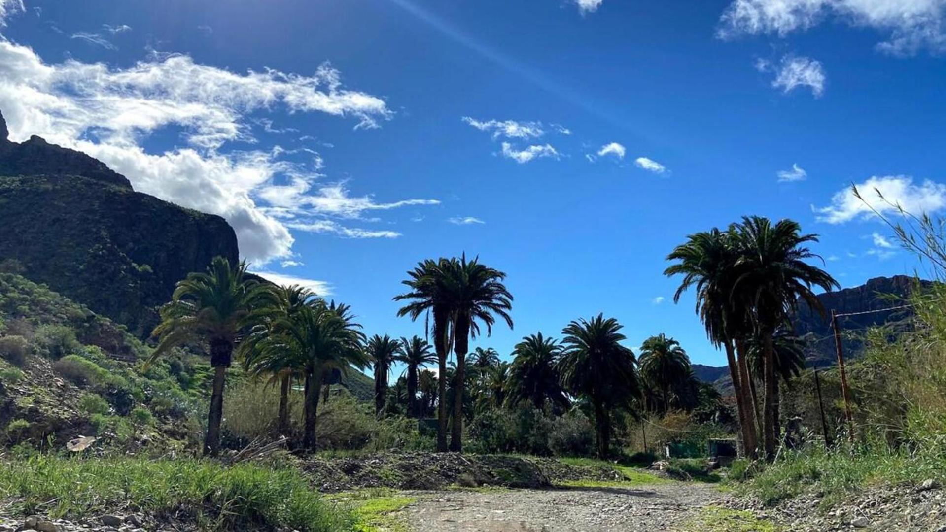 Chalet Large Near Maspalomas & Fataga *