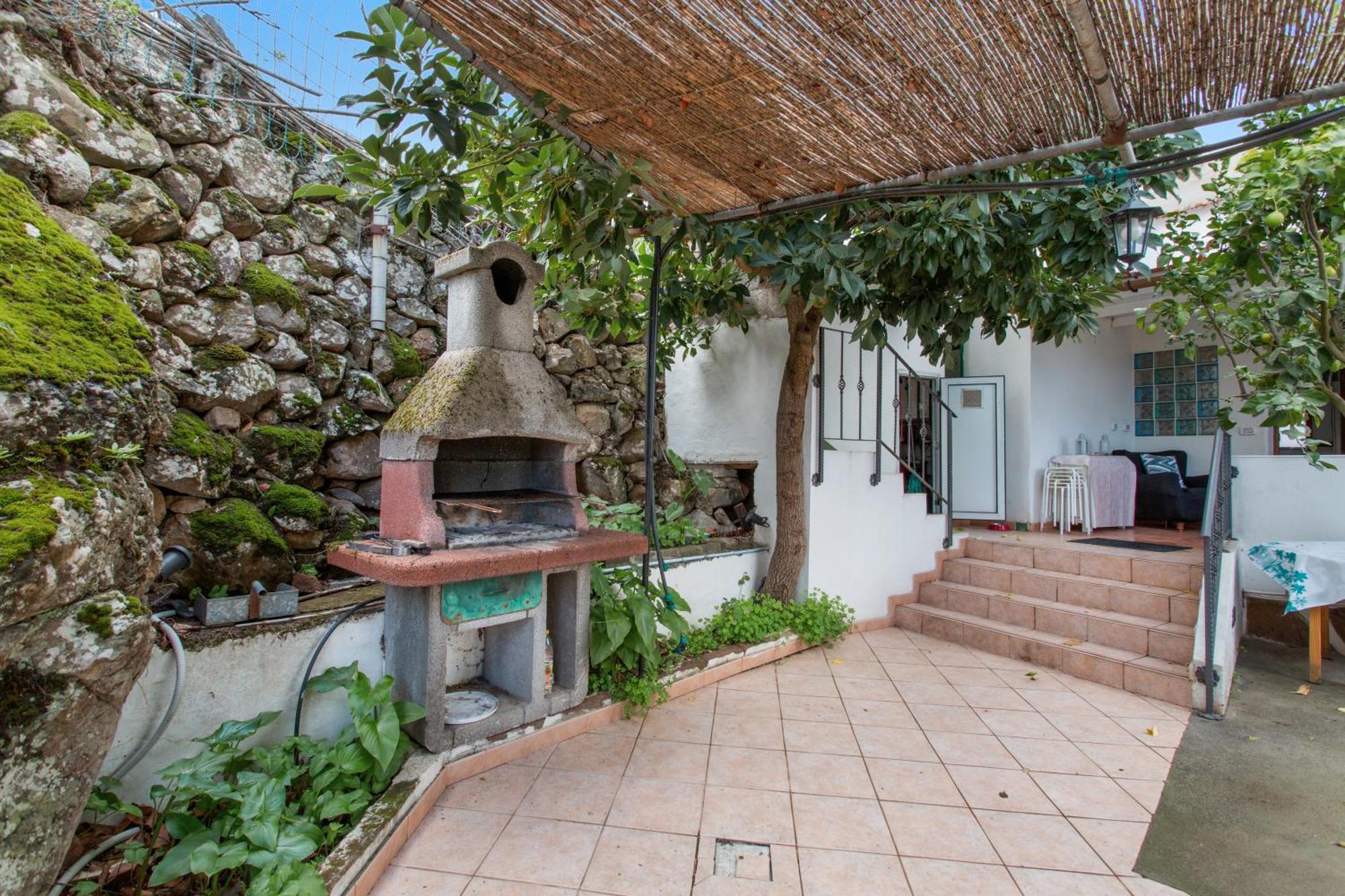 Alejo * Valsequillo de Gran Canaria