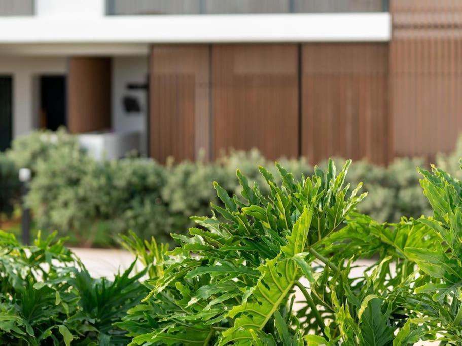 Apartment Vivelorural Agaete Great Garden *