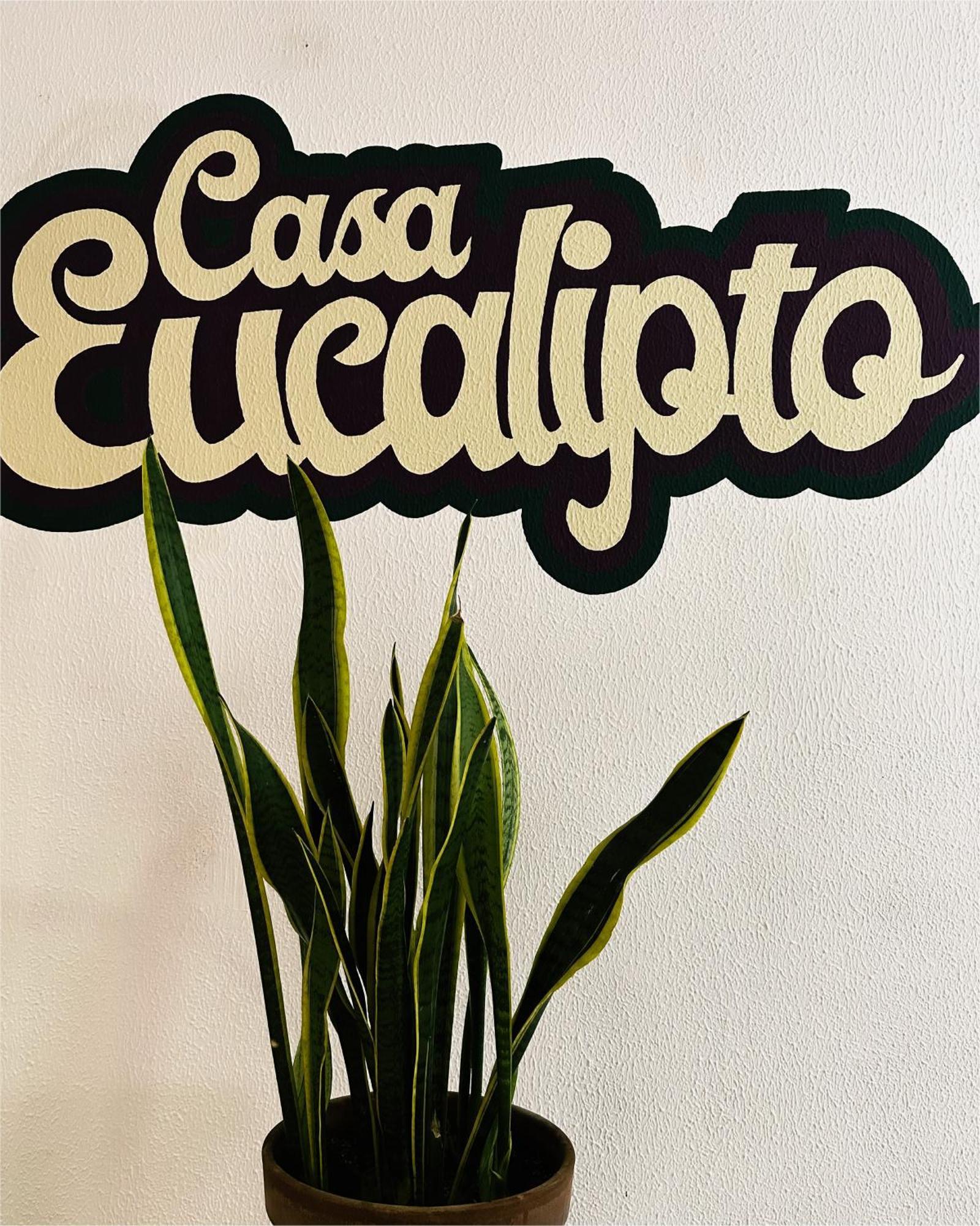 Eucalipto Ostello *