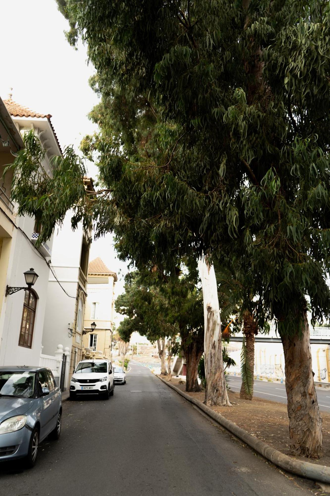 Eucalipto Ostello Las Palmas de Gran Canaria