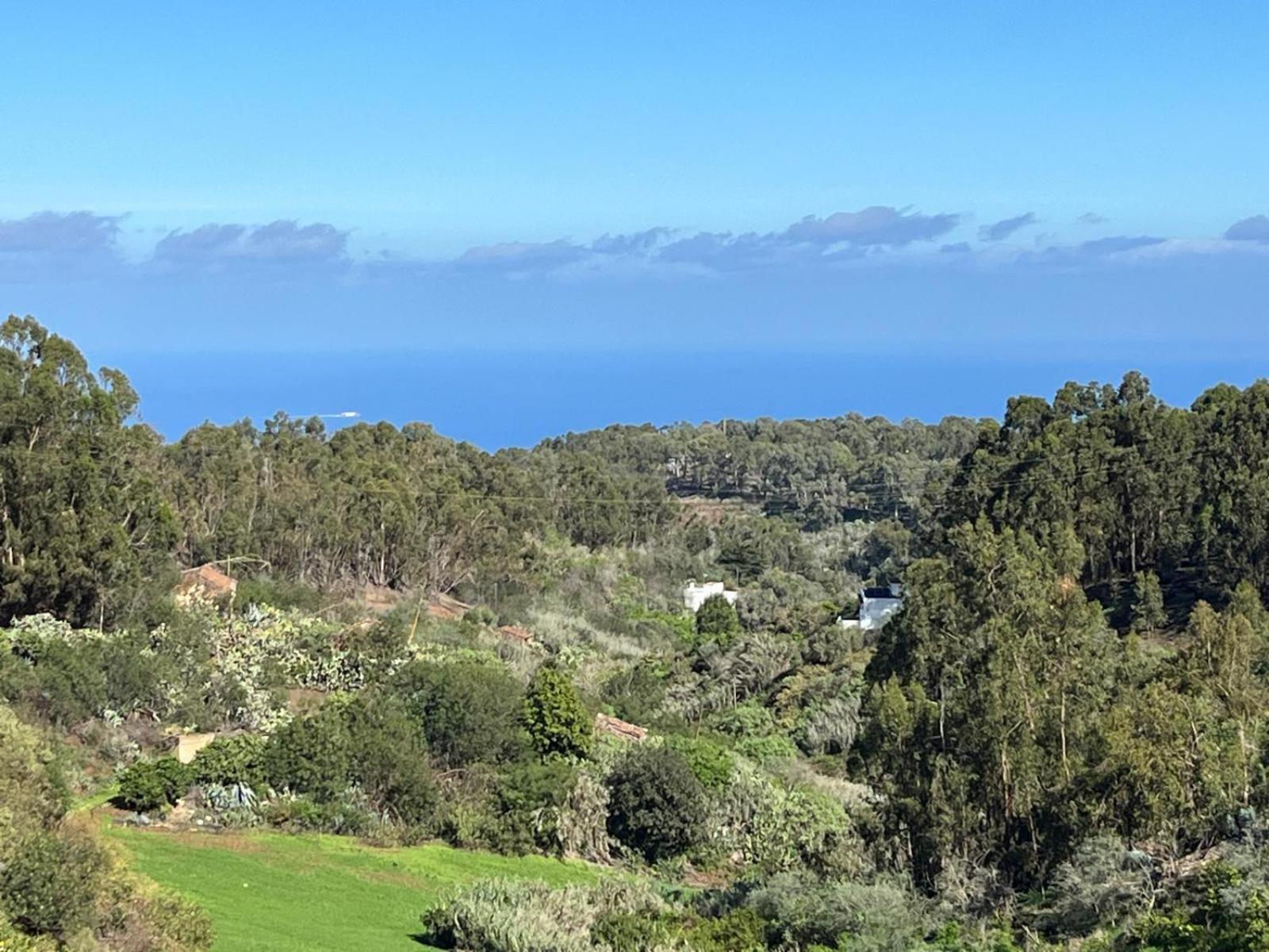 Tilos Betancor * Moya (Gran Canaria)