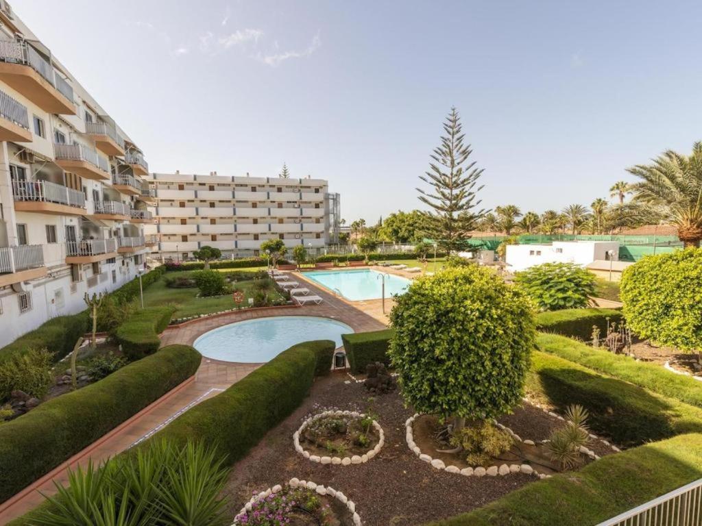 Tenesor-yumbo * Maspalomas (Gran Canaria)