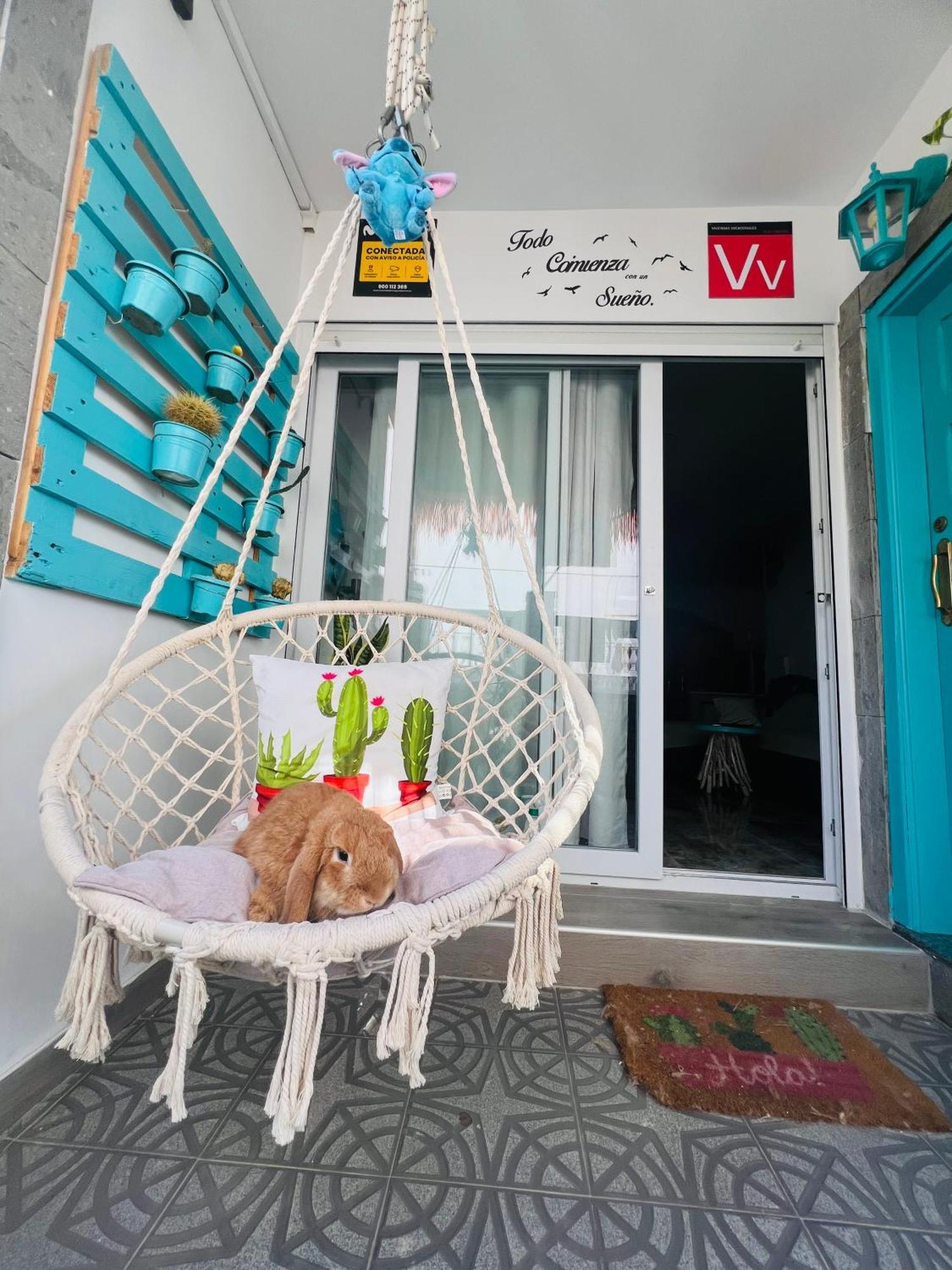 Bed and breakfast Casa Ohana