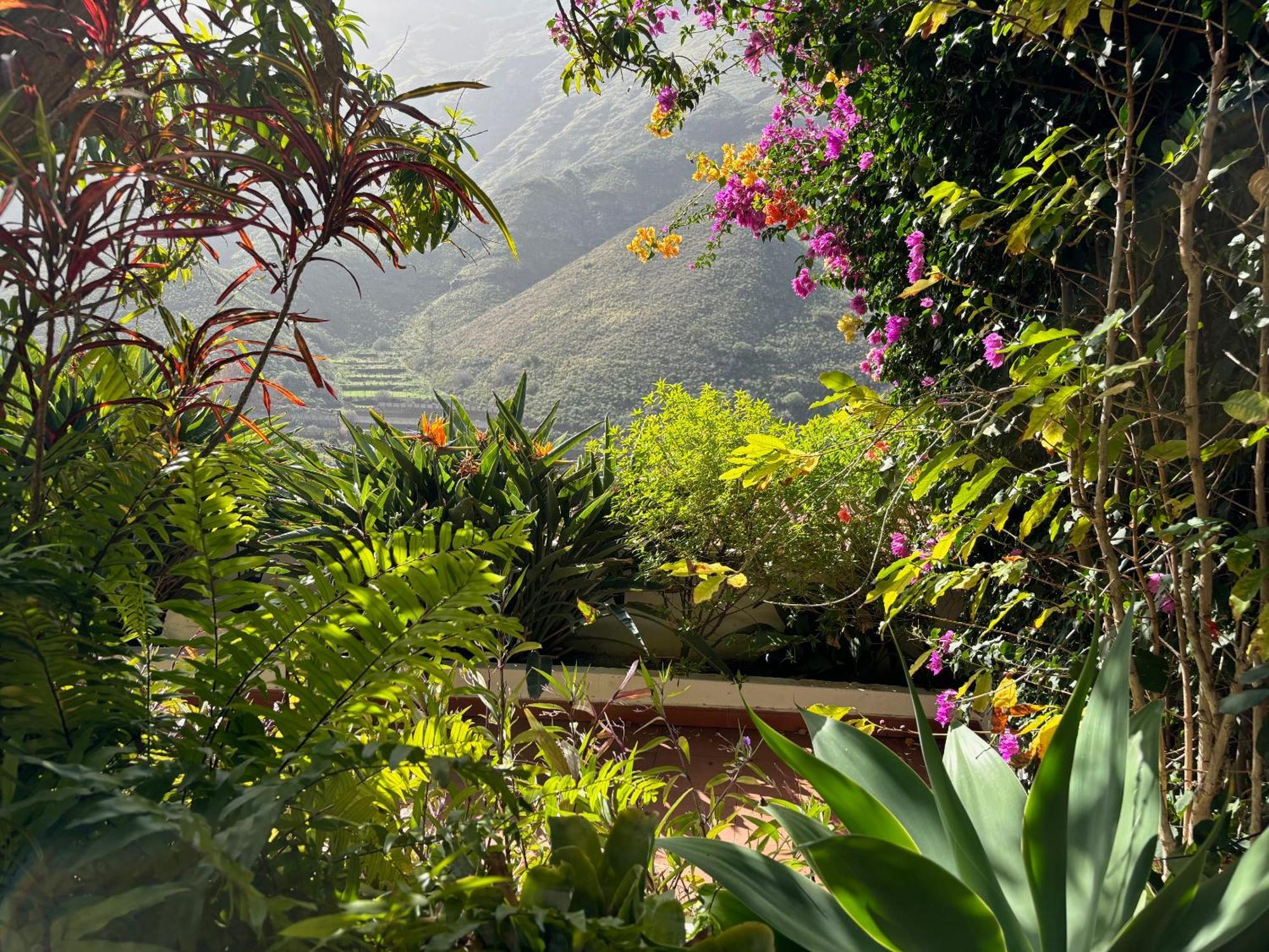 Casa Del Jardin * San Pedro (Gran Canaria)