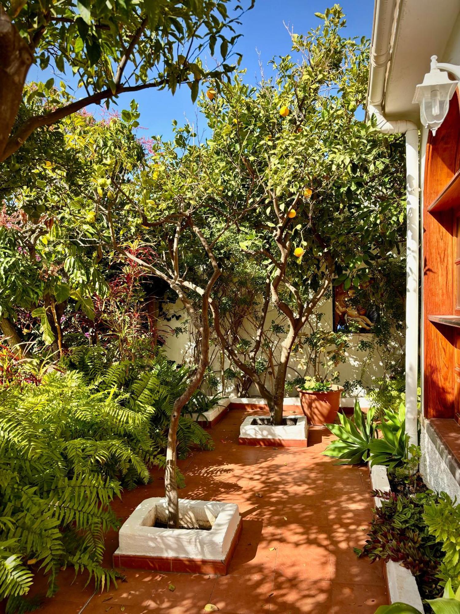 Casa Del Jardin Villa *