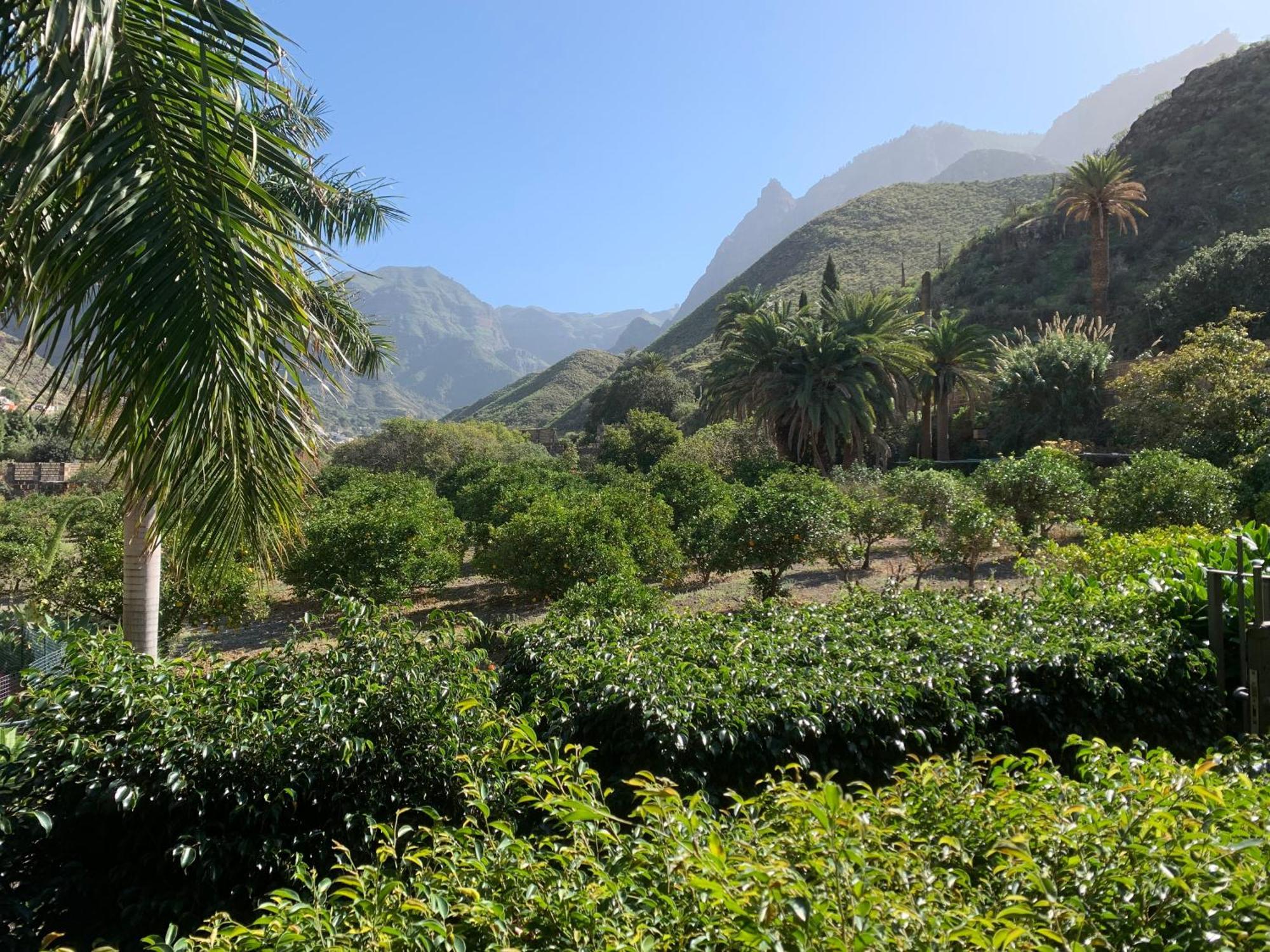 Casa Del Jardin Villa San Pedro (Gran Canaria)