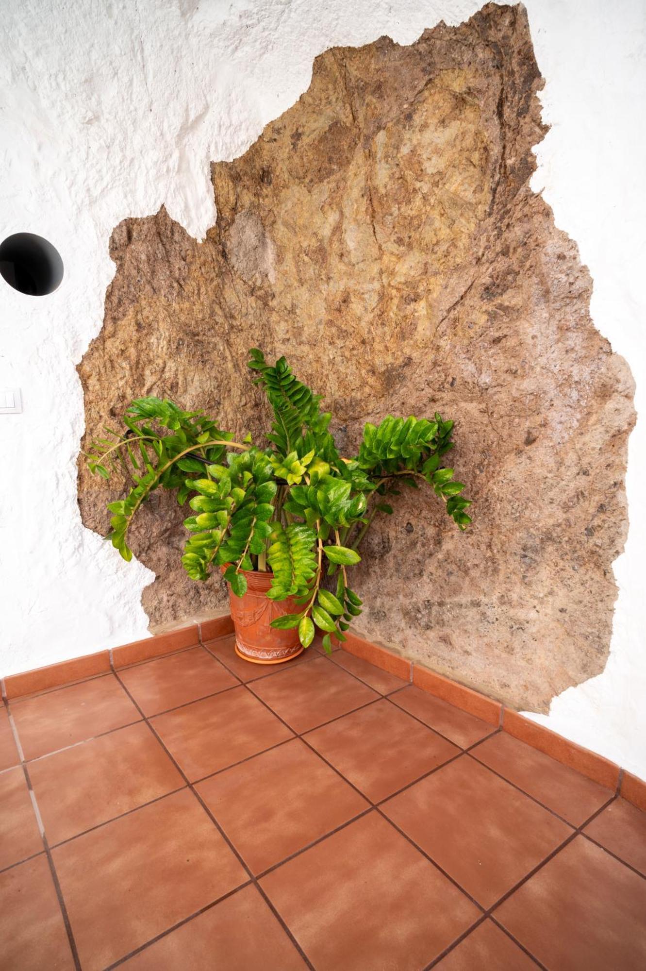 Casa Cueva Tres Amores *