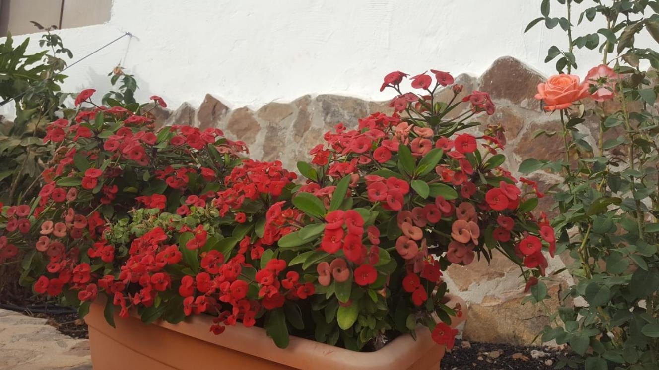 Casa Reyes Apta Reyes * Fátaga