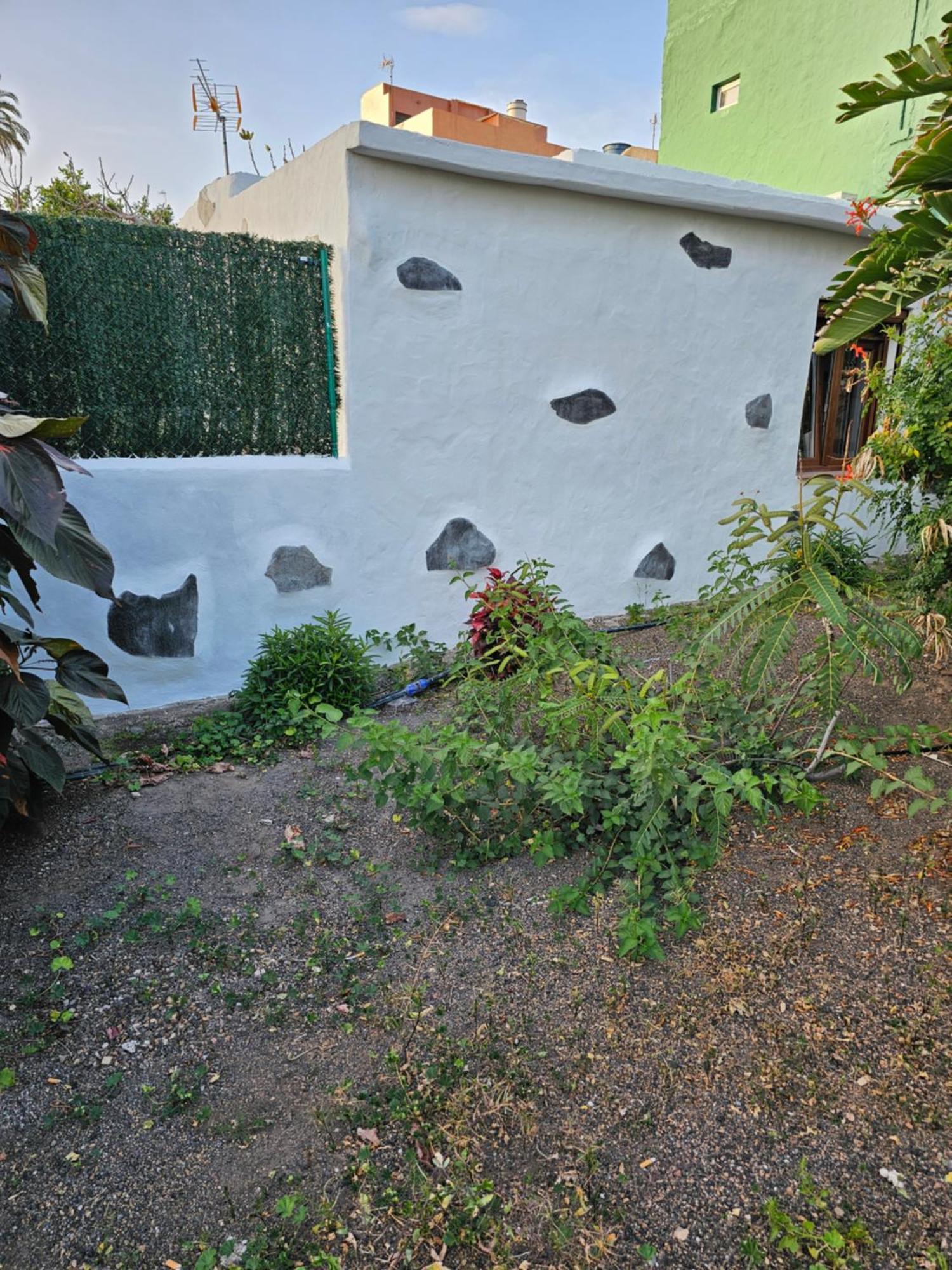 Casa Mamasica * Ingenio