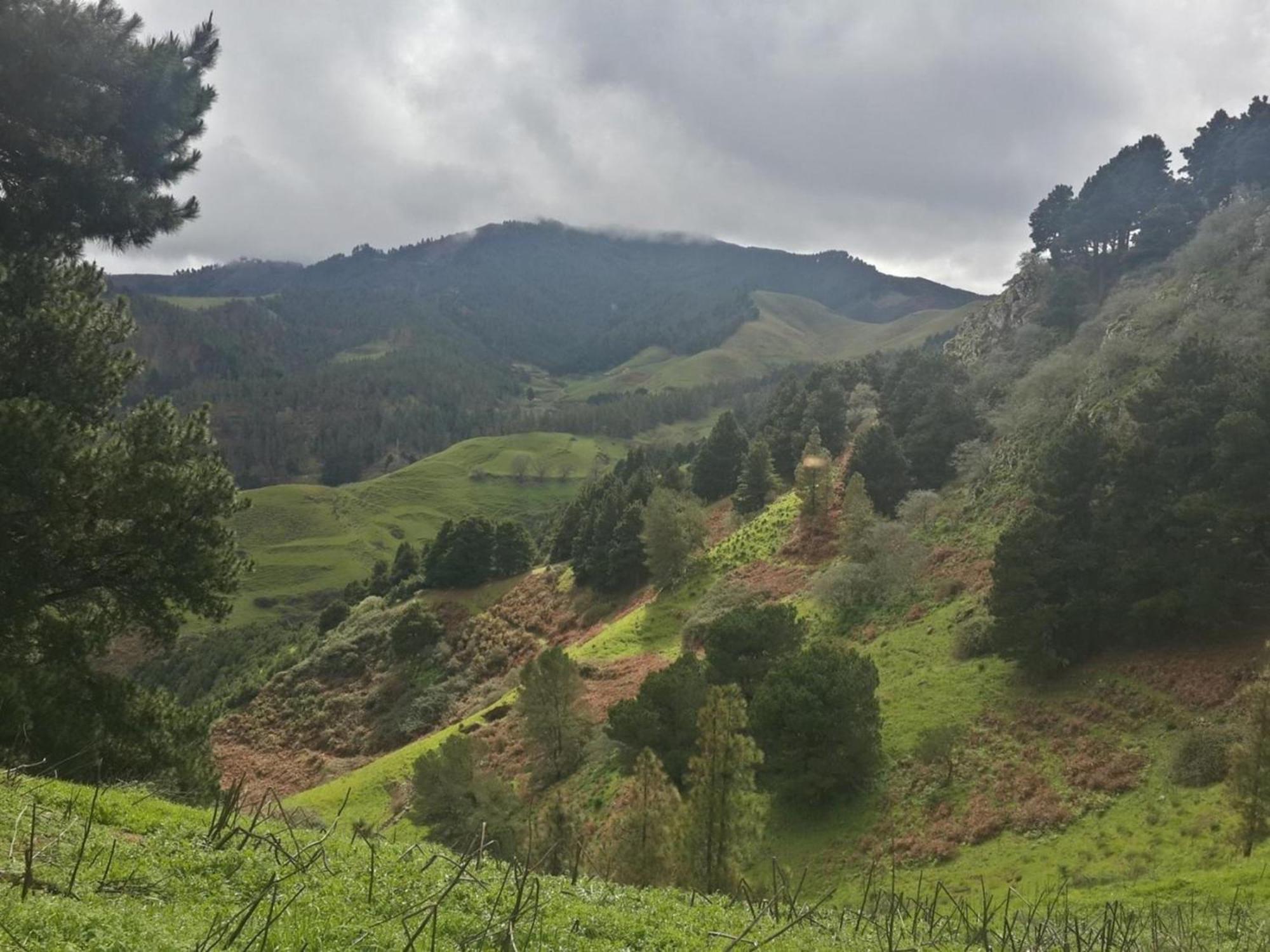 Casa La In Einer Natuerlichen Umgebung Сasa de vacaciones