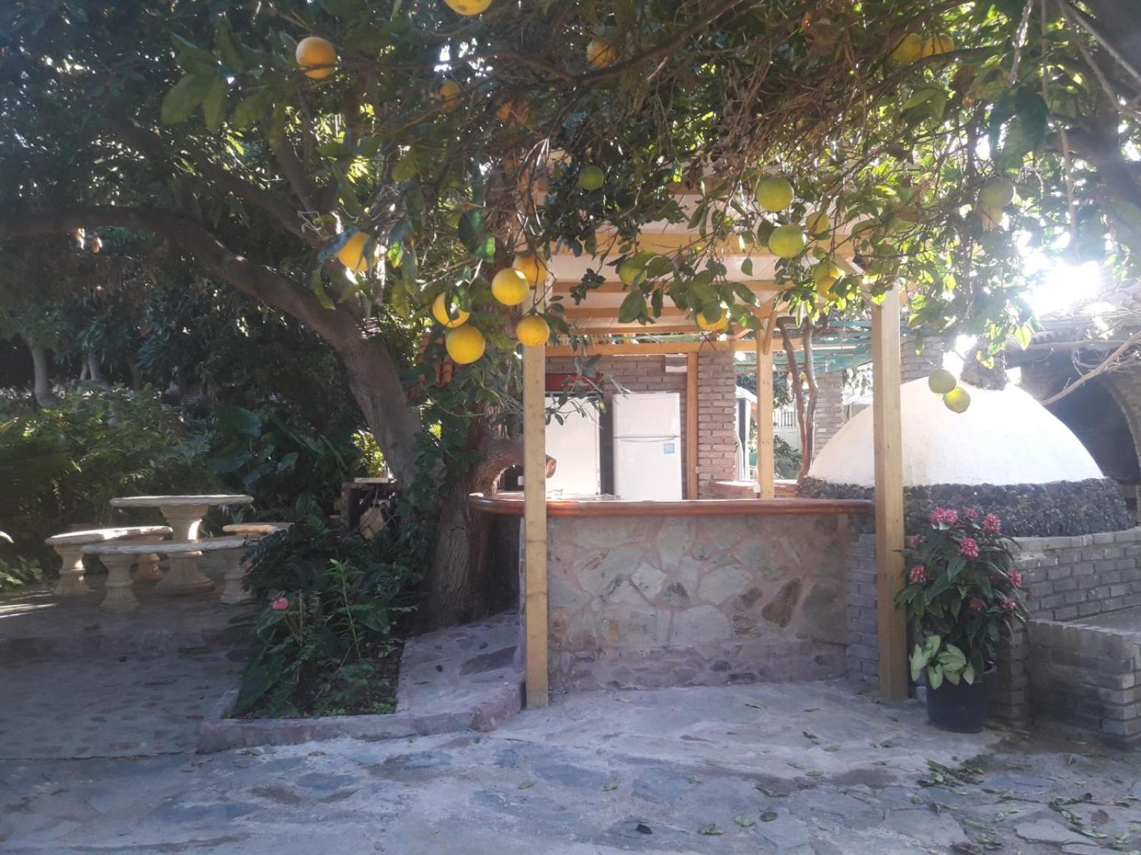 Aguacates Apartamento Trapiche (Las Palmas)