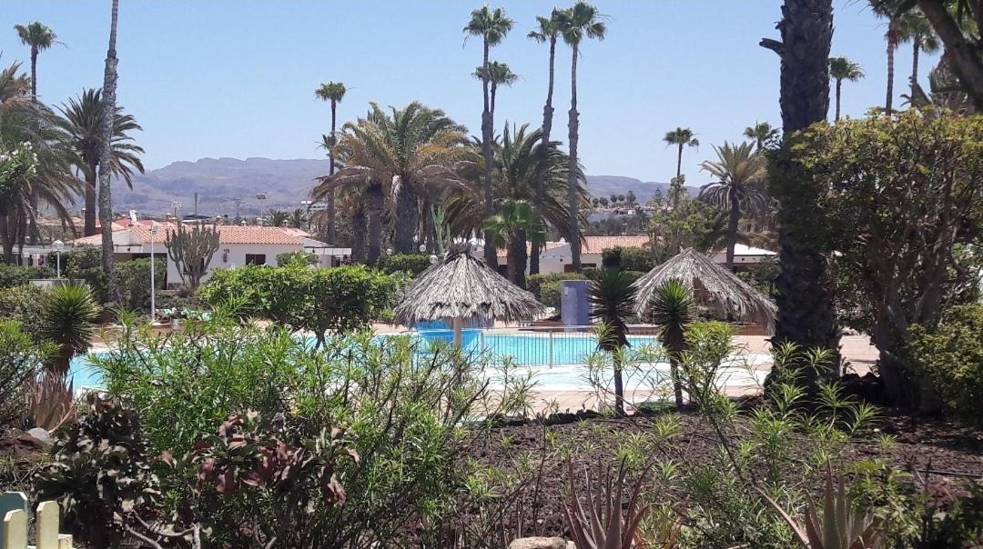 Apartment Vegas Golf Maspalomas (Gran Canaria)