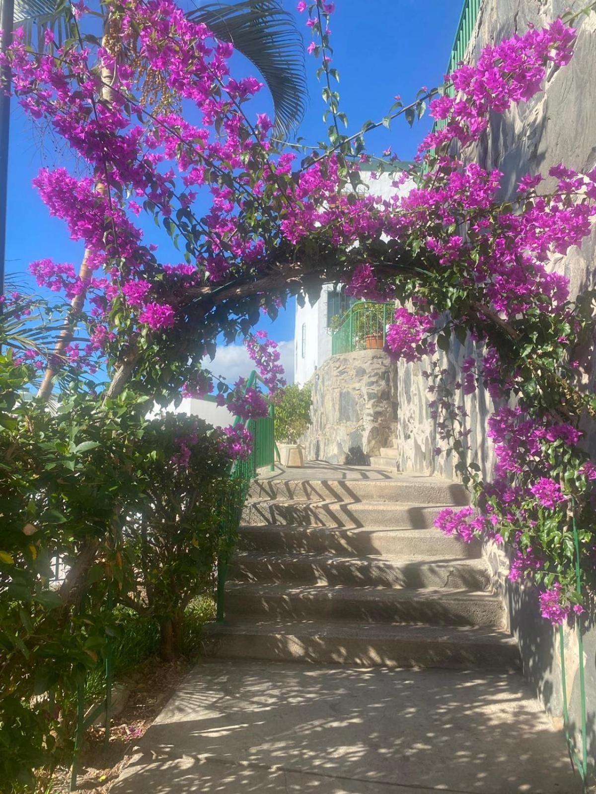 Apartamento Sea View 2br Toploctaion Heated Pool 5 Min To