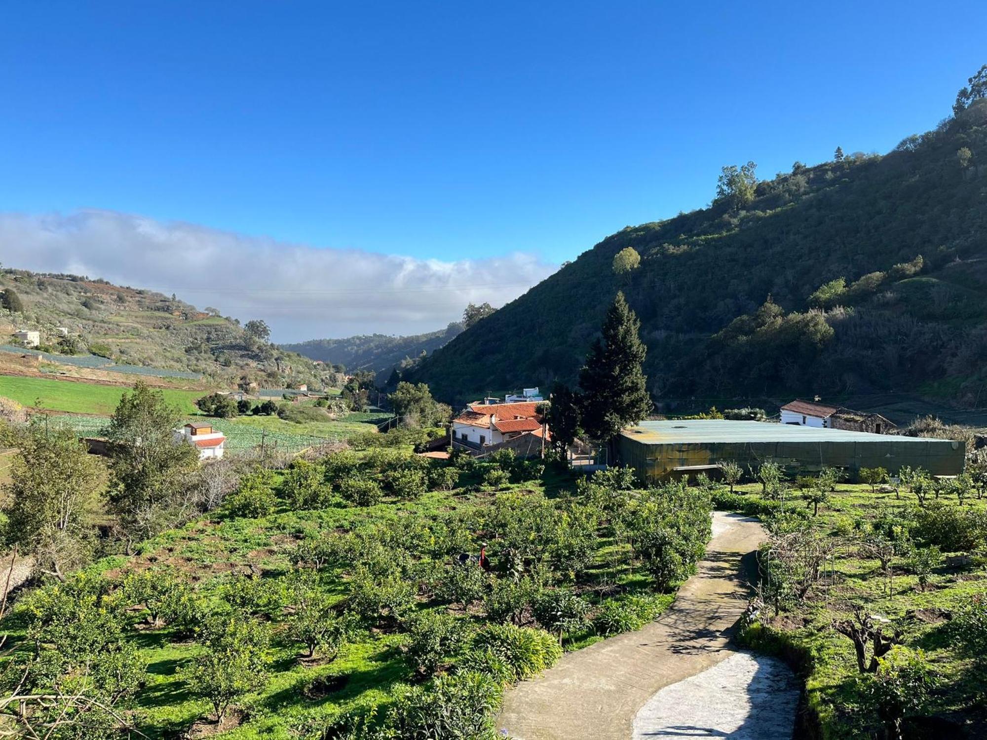 Arcos Del Laurel Appartamento Moya (Gran Canaria)