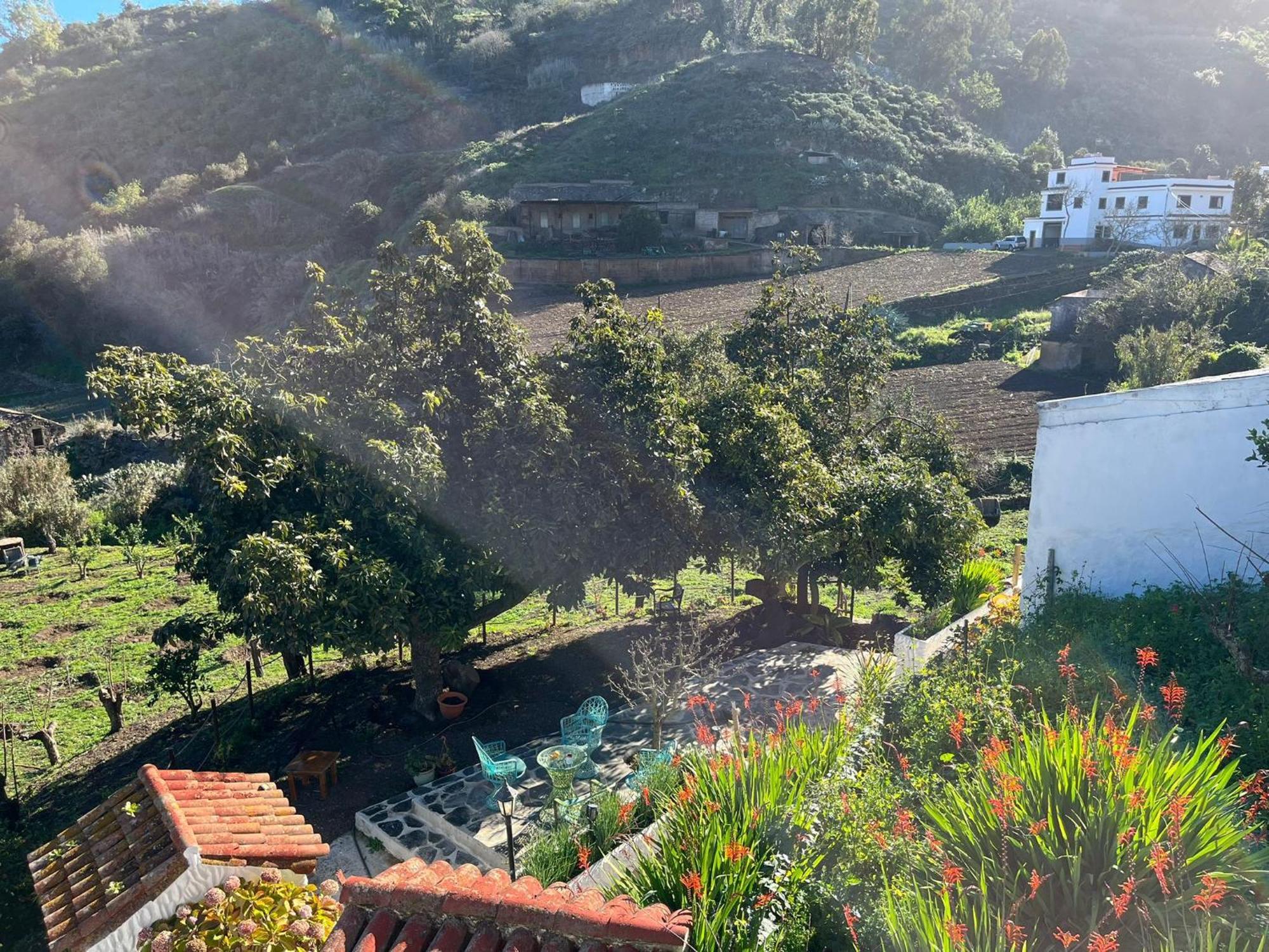 Appartamento Arcos Del Laurel Moya (Gran Canaria)