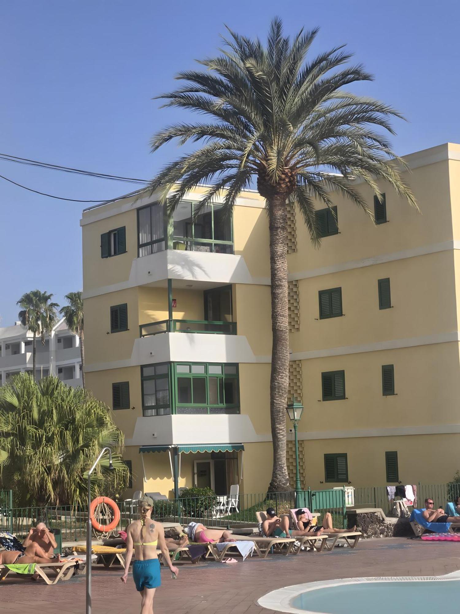 Apartment Olas