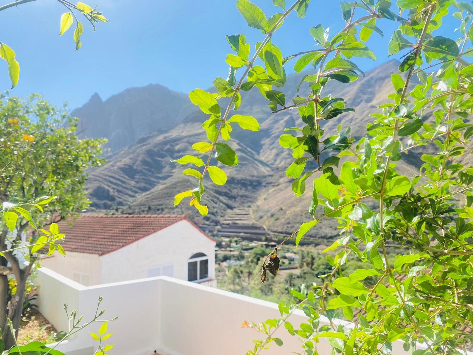 Charming And Cozy House In Agaete * San Pedro (Gran Canaria)