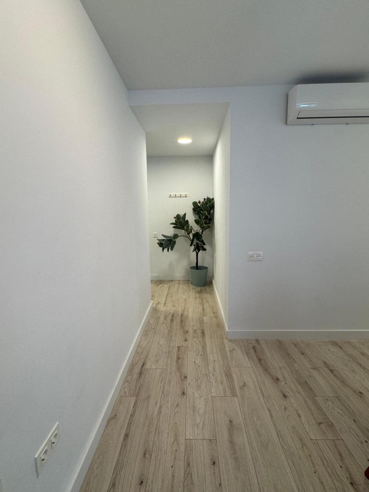 Oasis 29 * Las Palmas de Gran Canaria