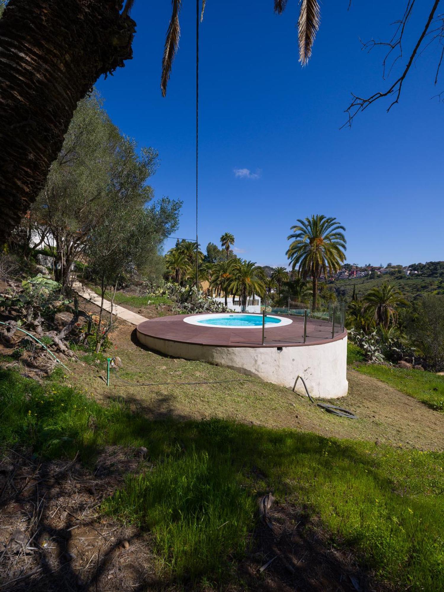 Hacienda Olivos Santa Brígida