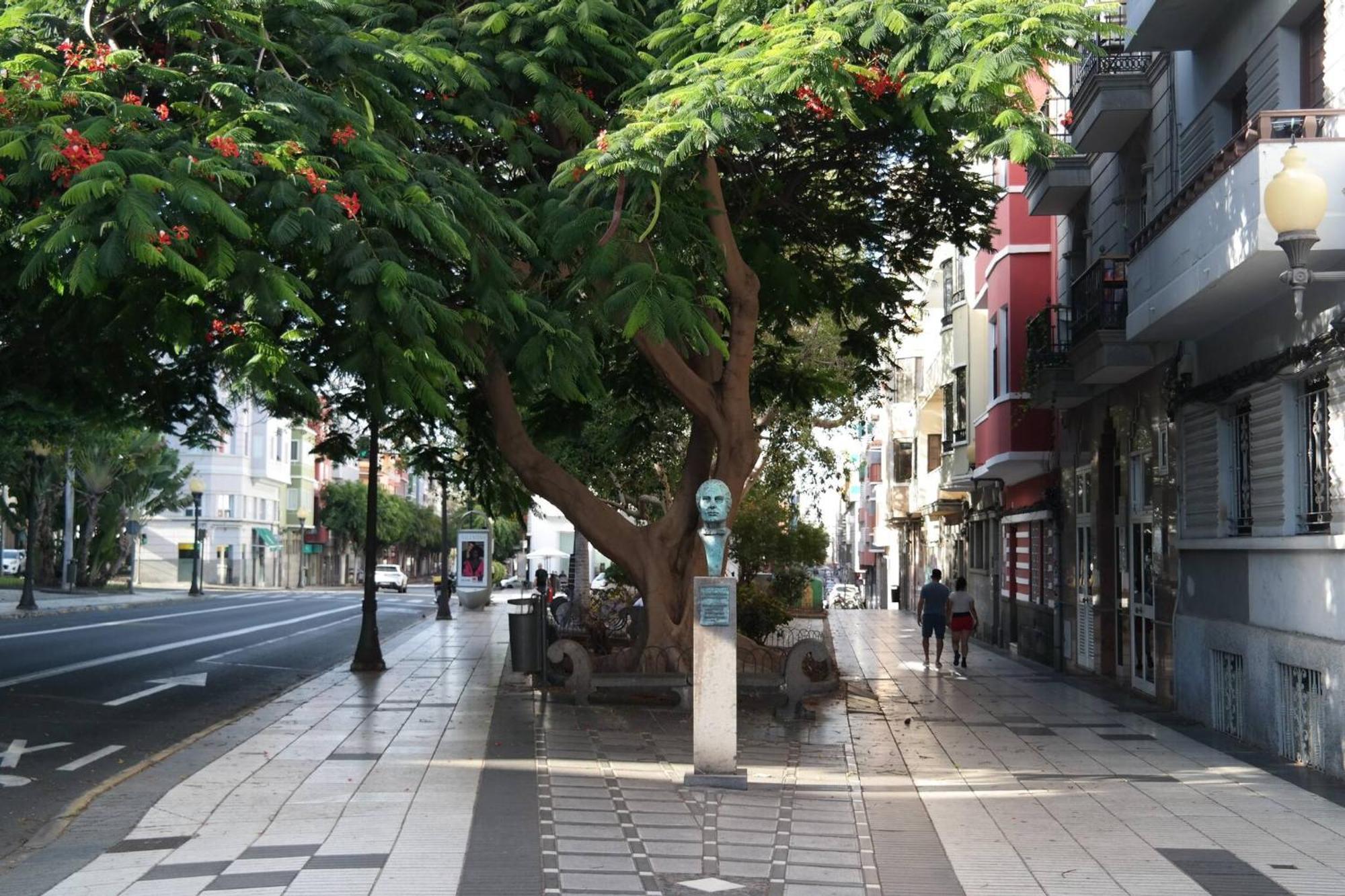 Stylish Near Old Town Appartamento Las Palmas de Gran Canaria