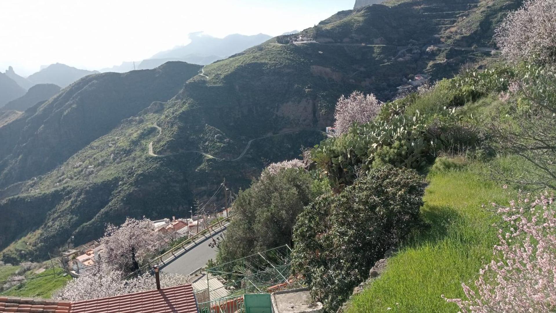 El Rincon Del Nublo * Tejeda (Gran Canaria)