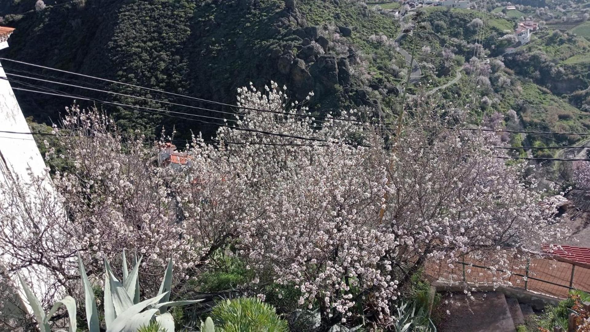 El Rincon Del Nublo