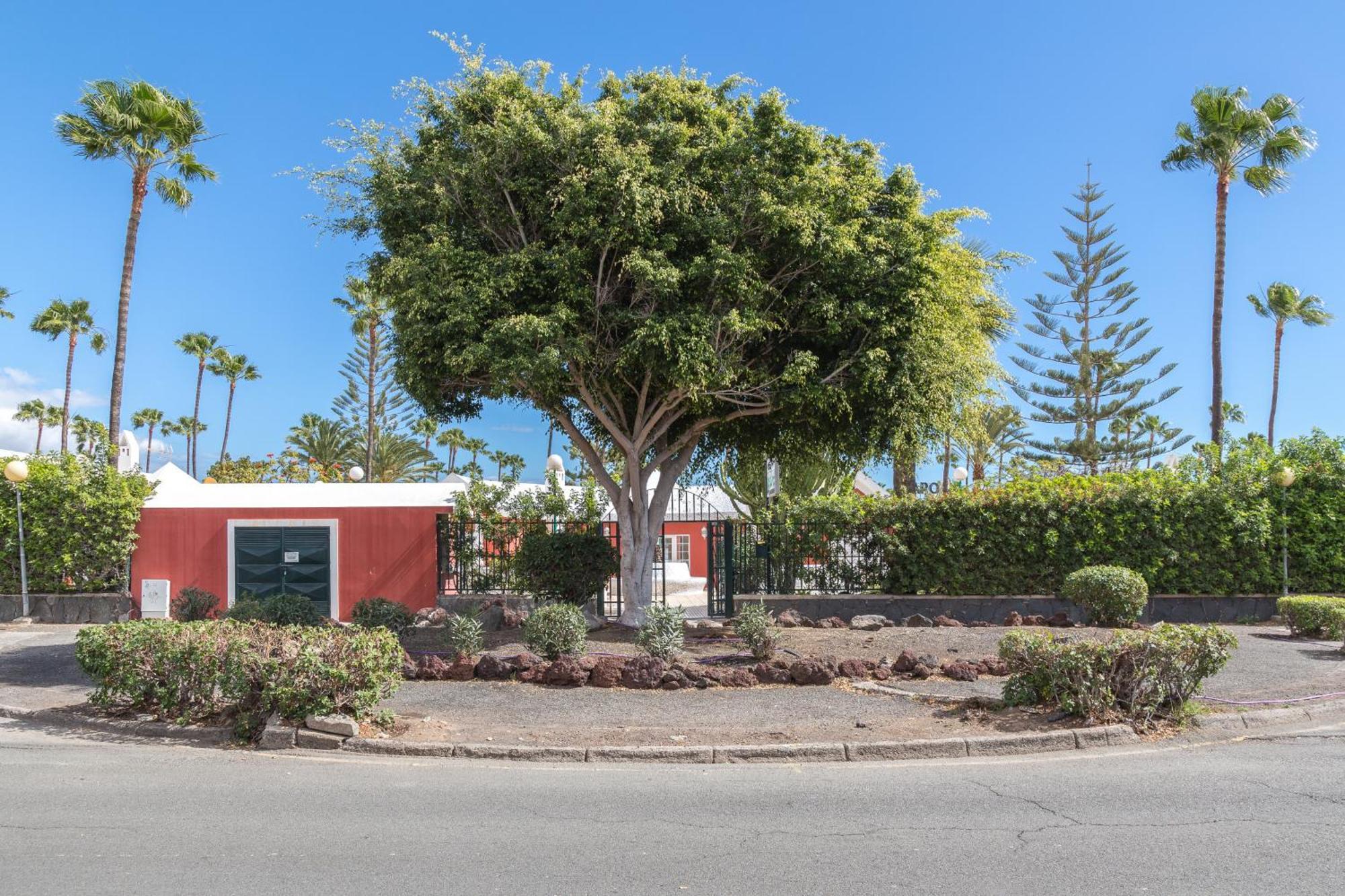 Lightbooking Tunos Maspalomas Terraza Privada * Maspalomas (Gran Canaria)