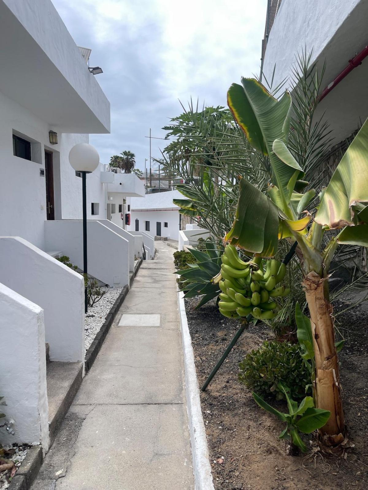 Puerto Rico,atraktiv In Cumana 2,solsiden Apartamento *