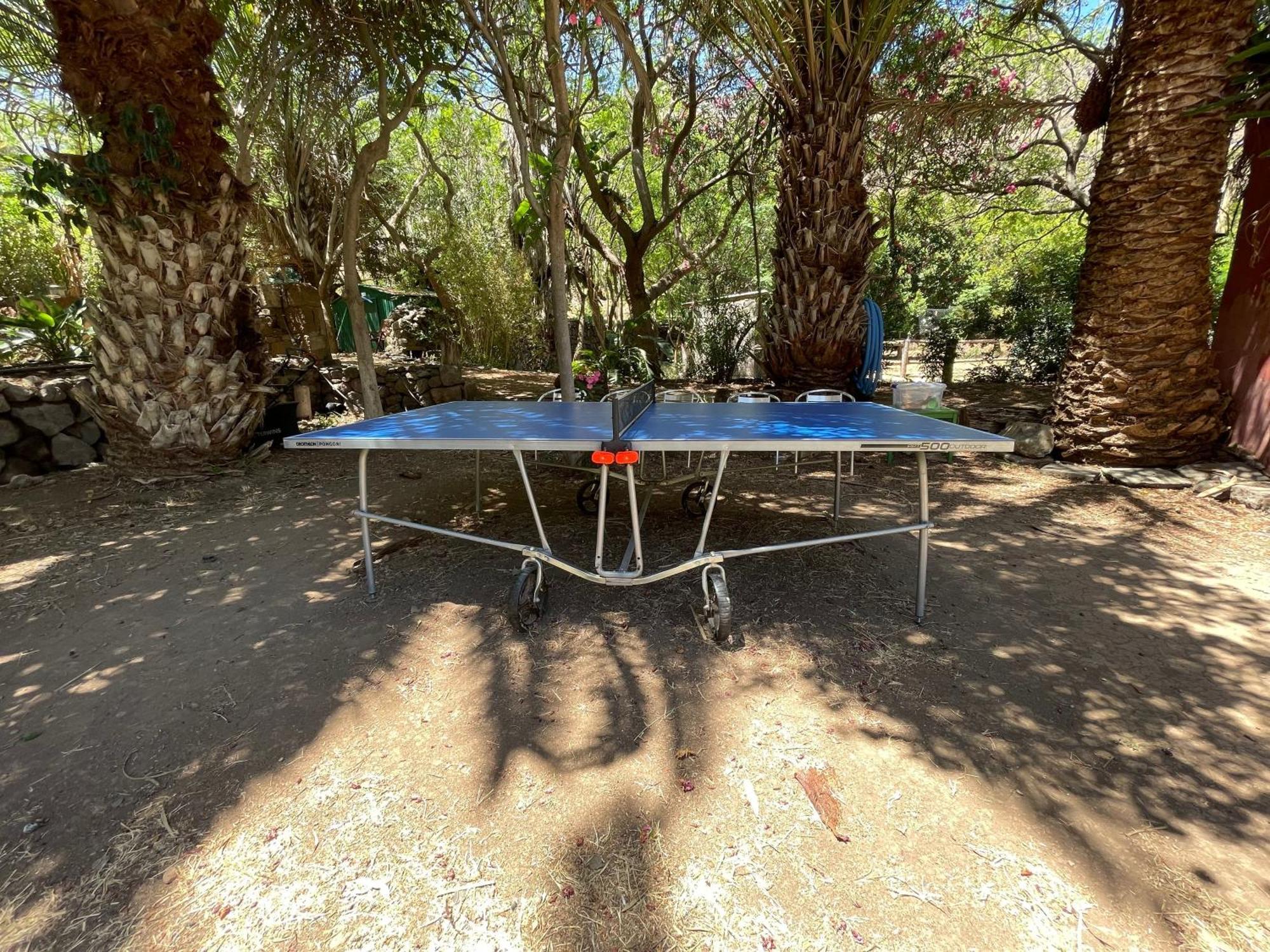 Holiday home Fuer 13 Personenund 2 In Agaete *
