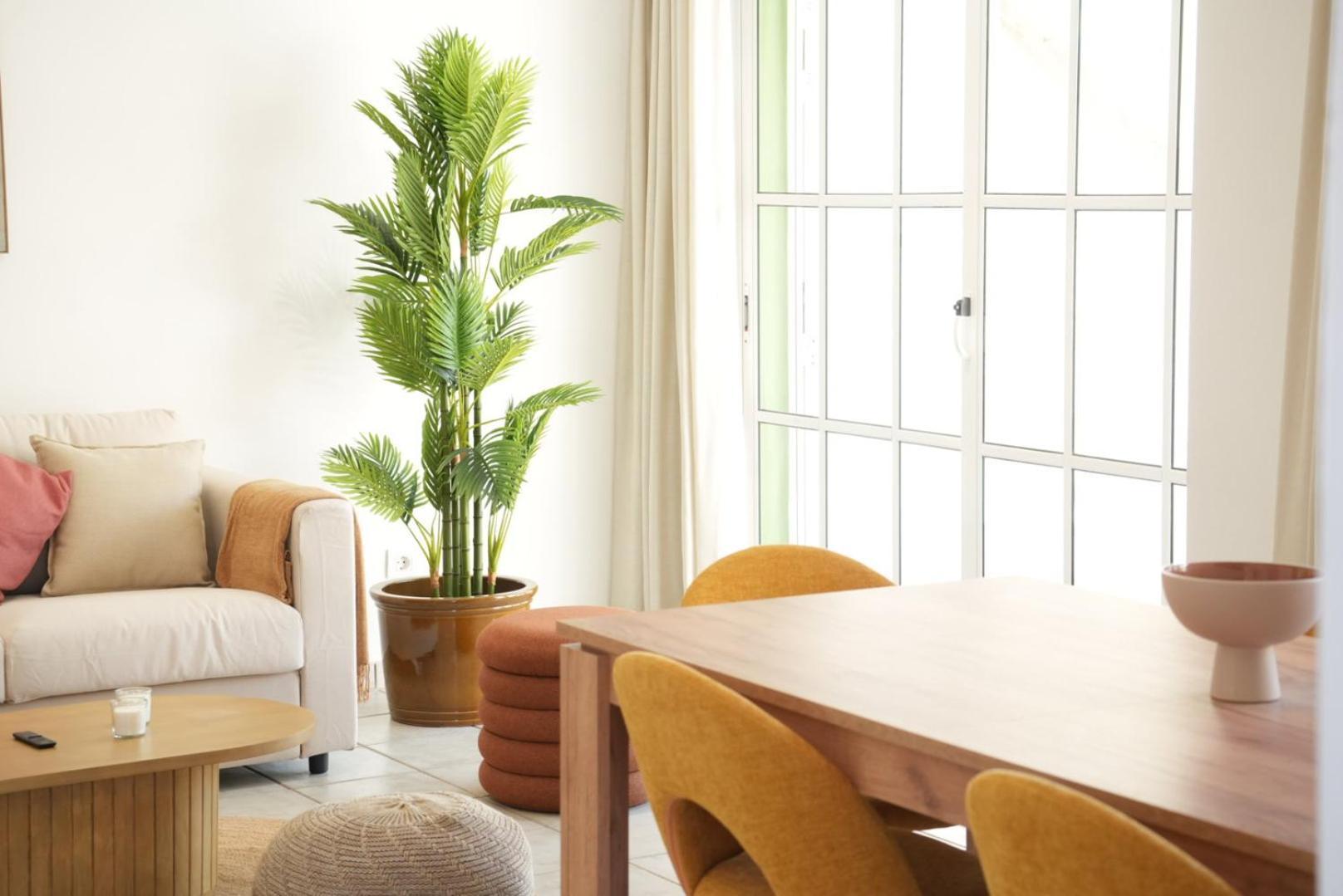 Pura Vida Holiday home *