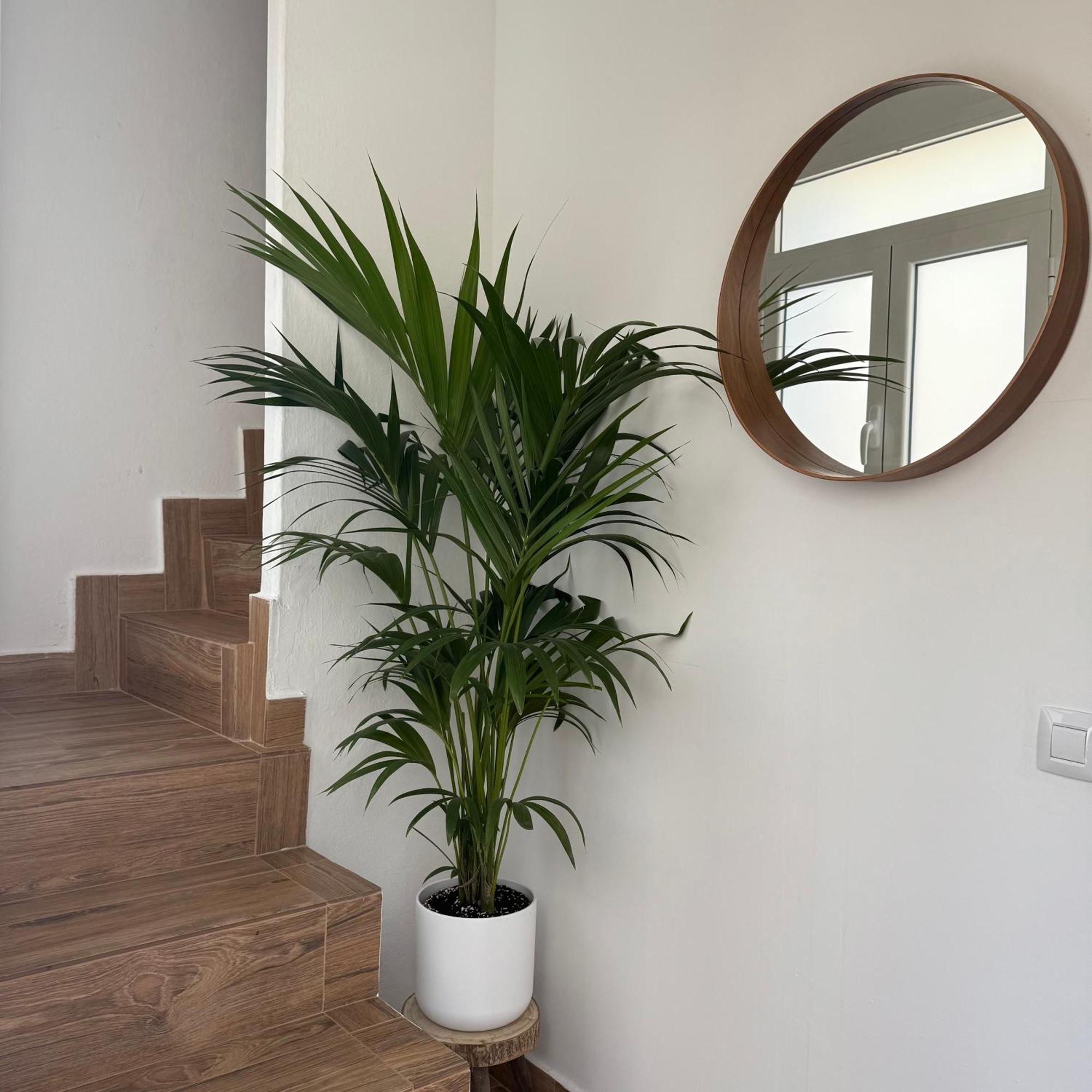 Apartamento Casa Yeye Loft *