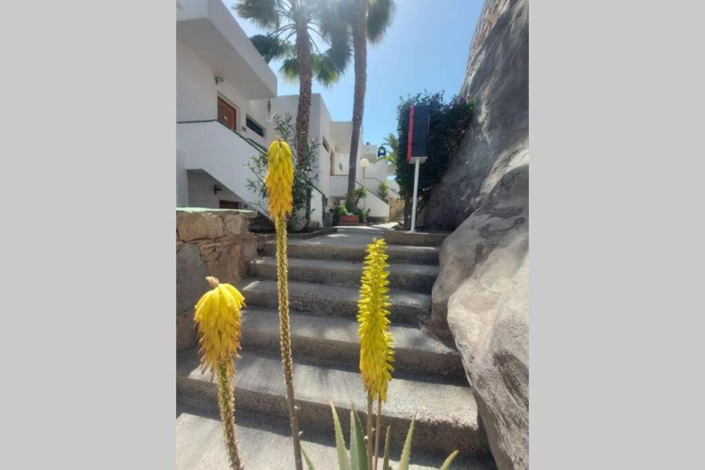 Arimar Solare Apartamento