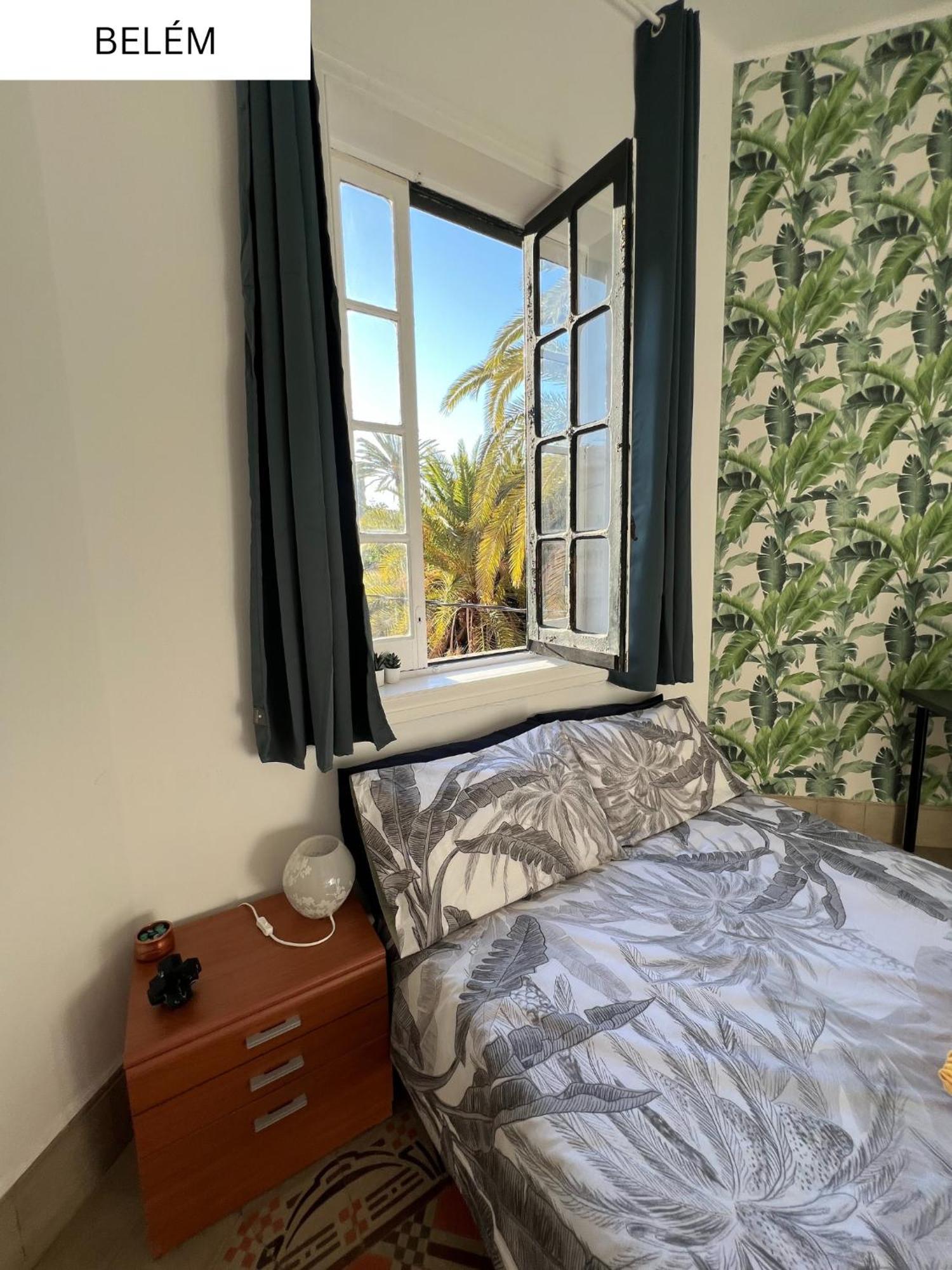 Coliving Brasil Pensión