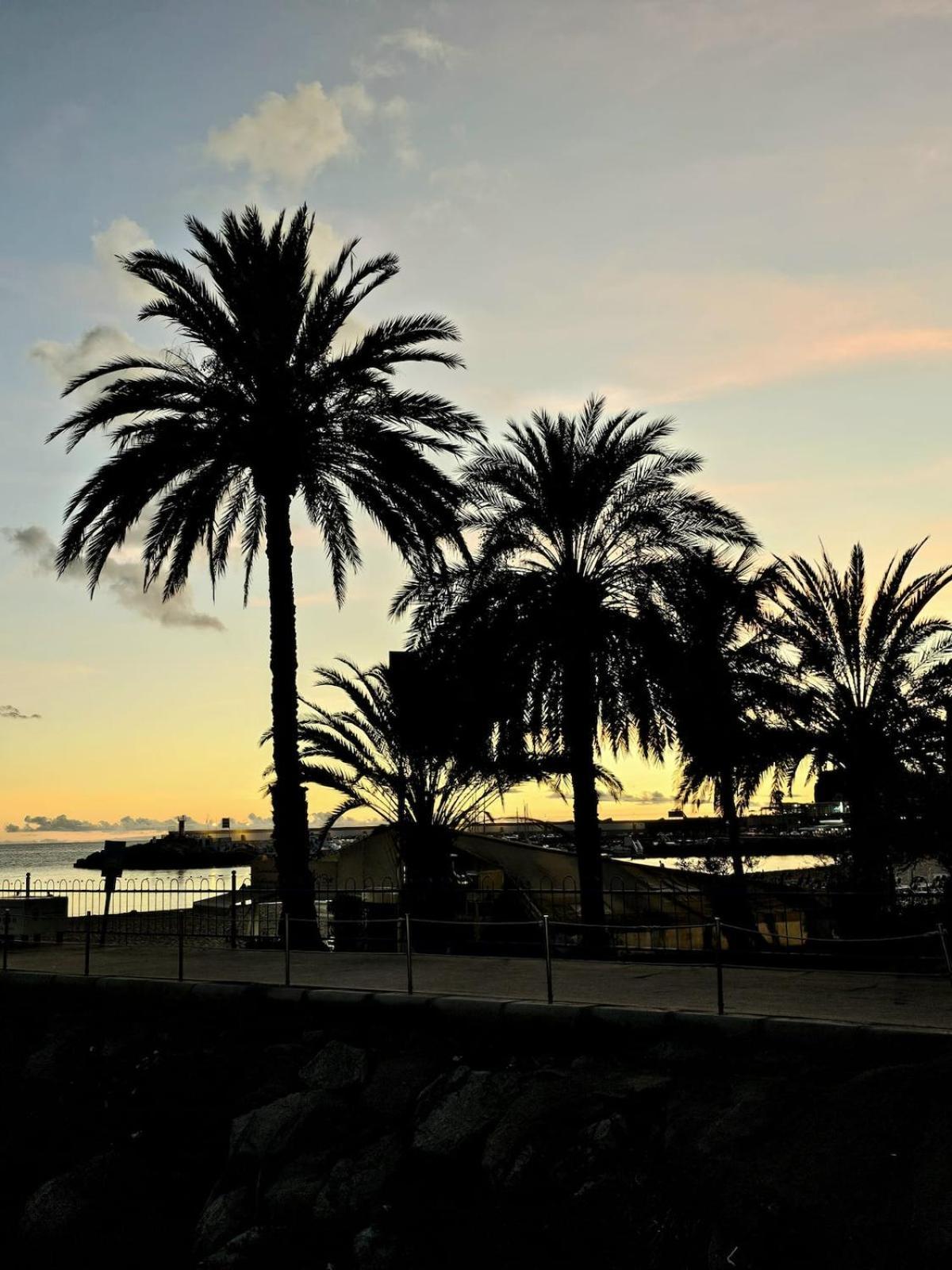 Cumana 505 Puerto Rico (Gran Canaria)