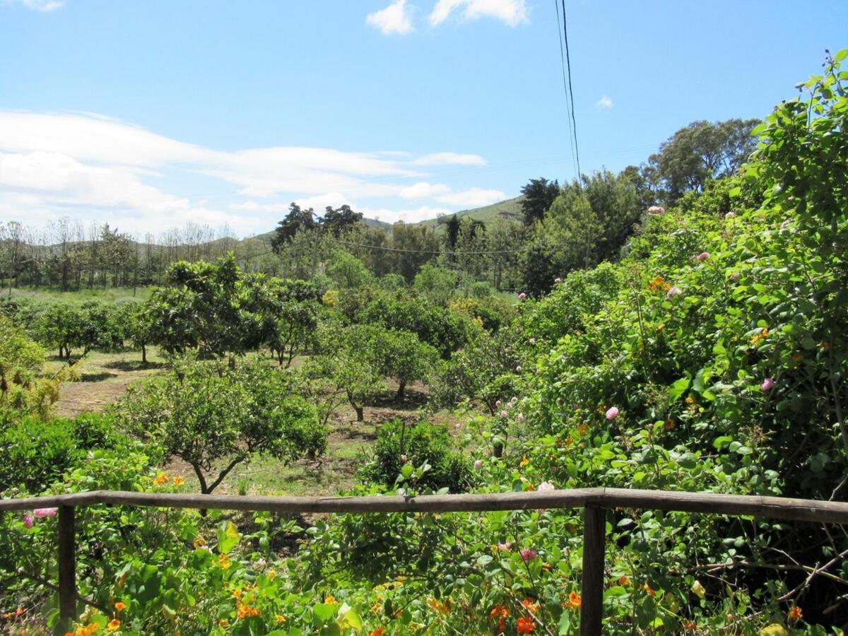 Holiday home El Alpendre *