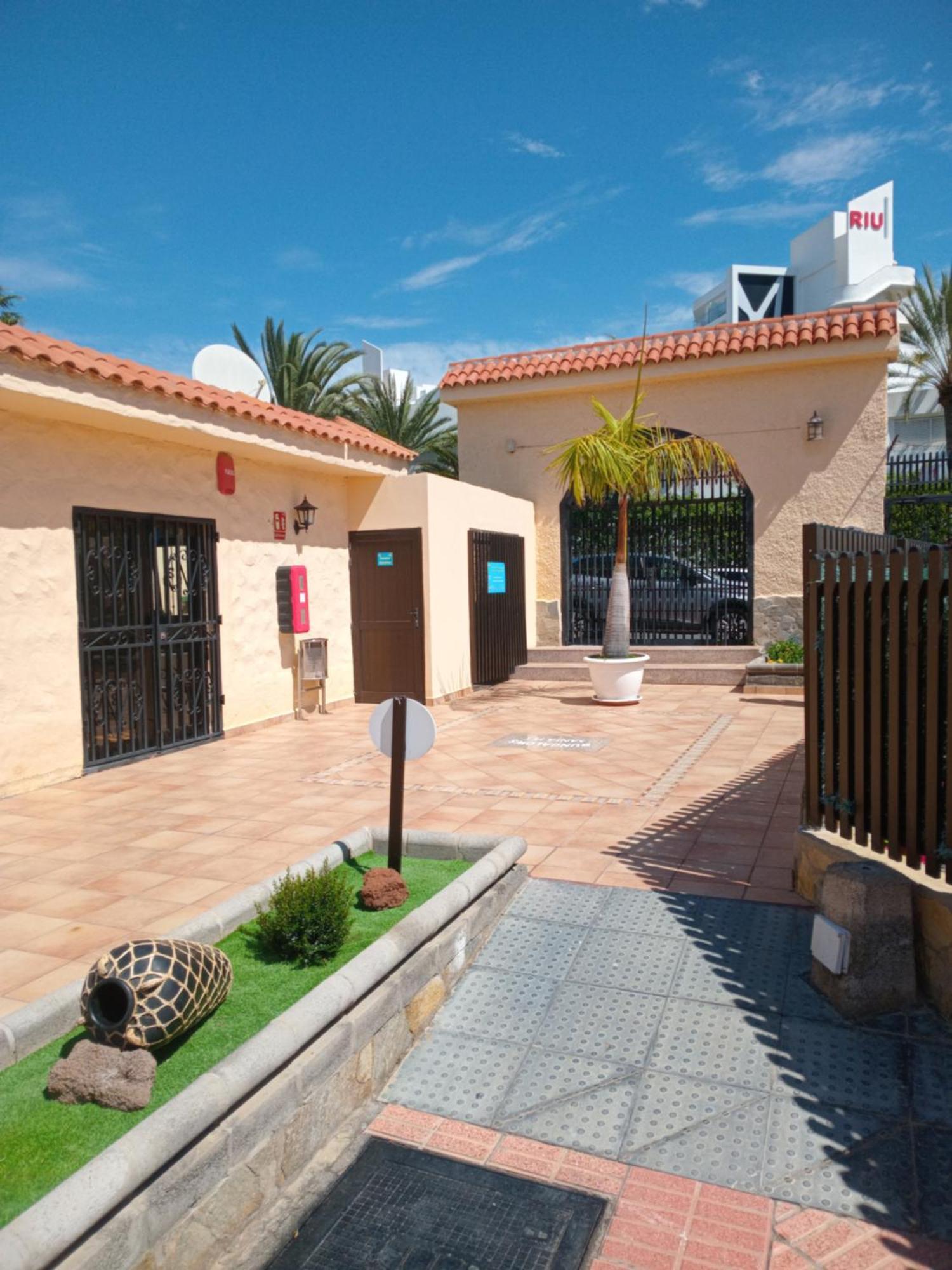 Casita De Gatas Olia
