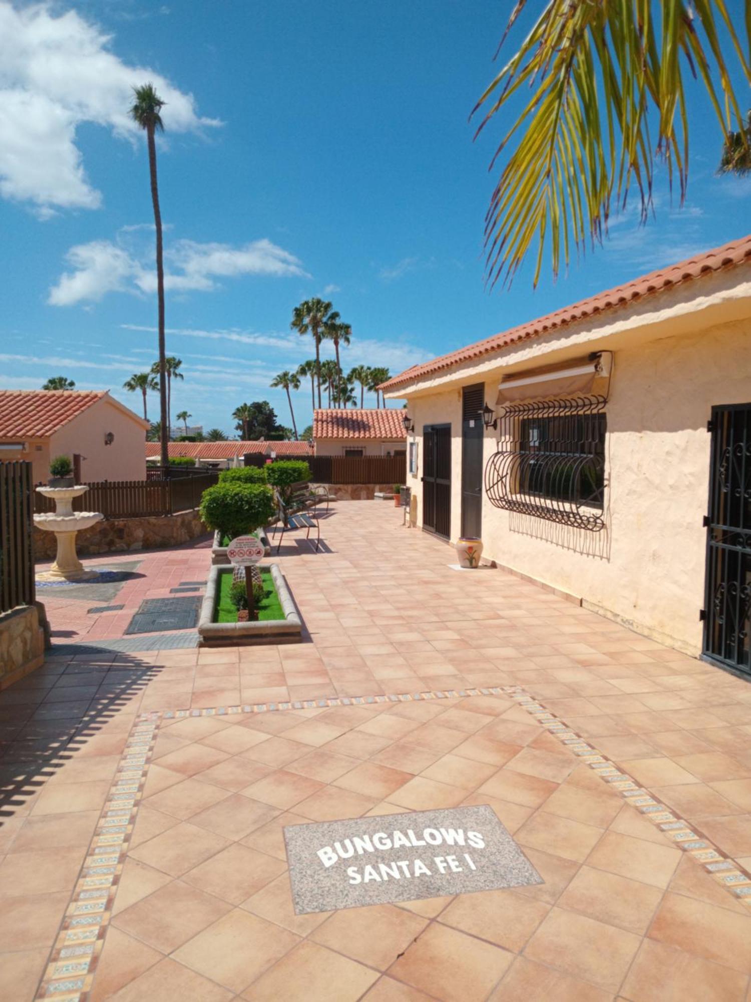 Casita De Gatas Olia Playa del Inglés