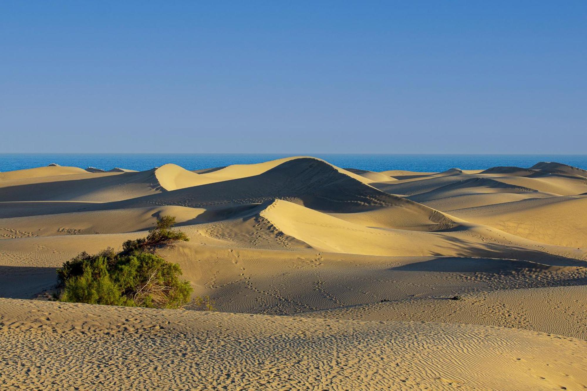 Appartamento Kasbah 1 By Pride Maspalomas (Gran Canaria)