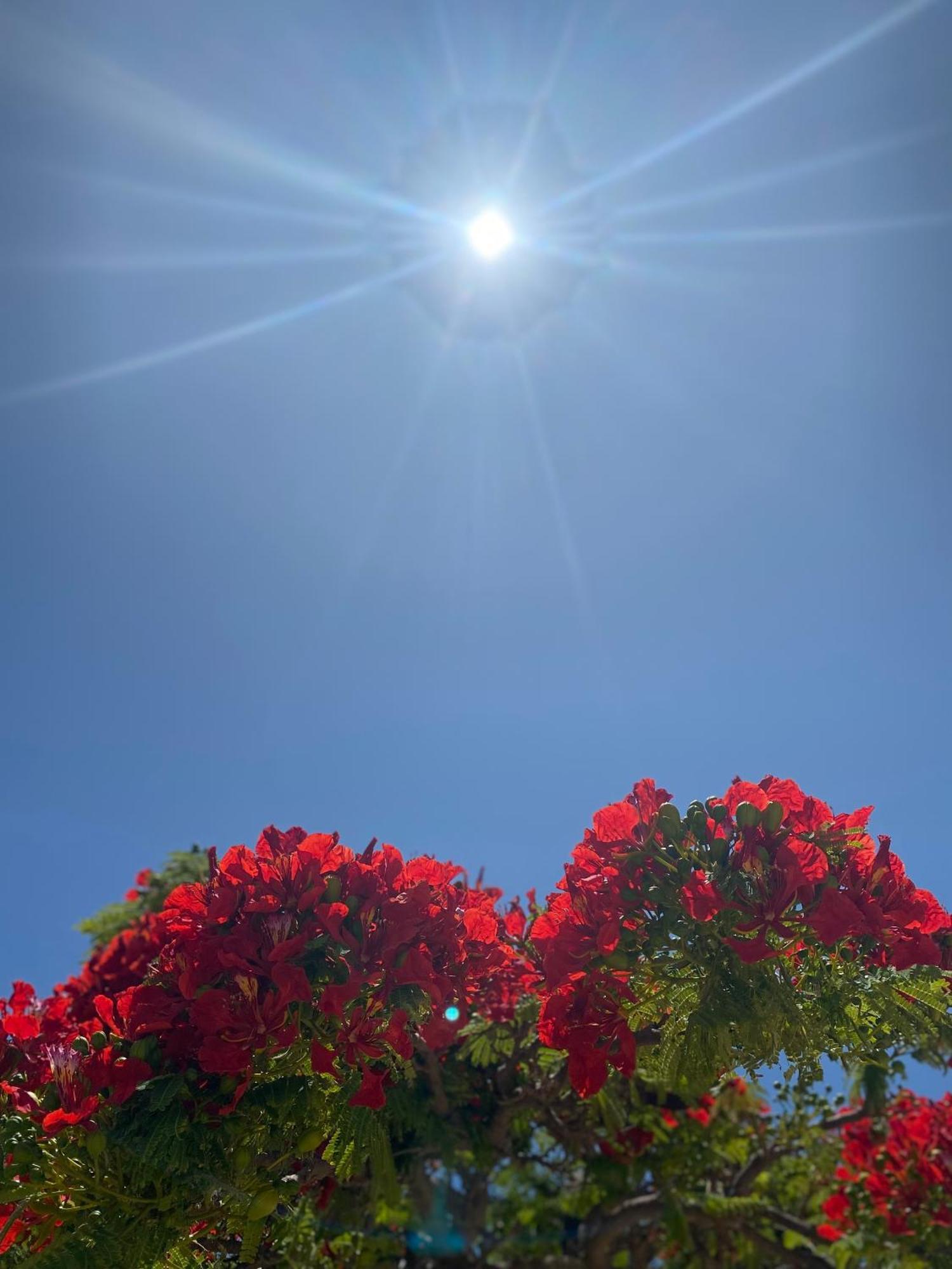 Apartamento Tisalaya Bright Maspalomas (Gran Canaria)