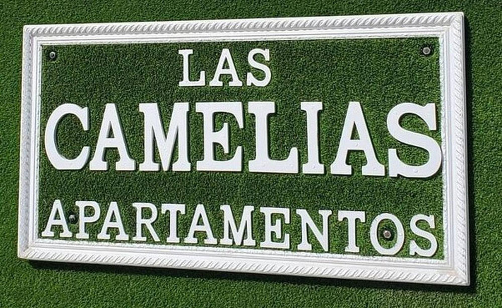 Camelias 215 Apartamento