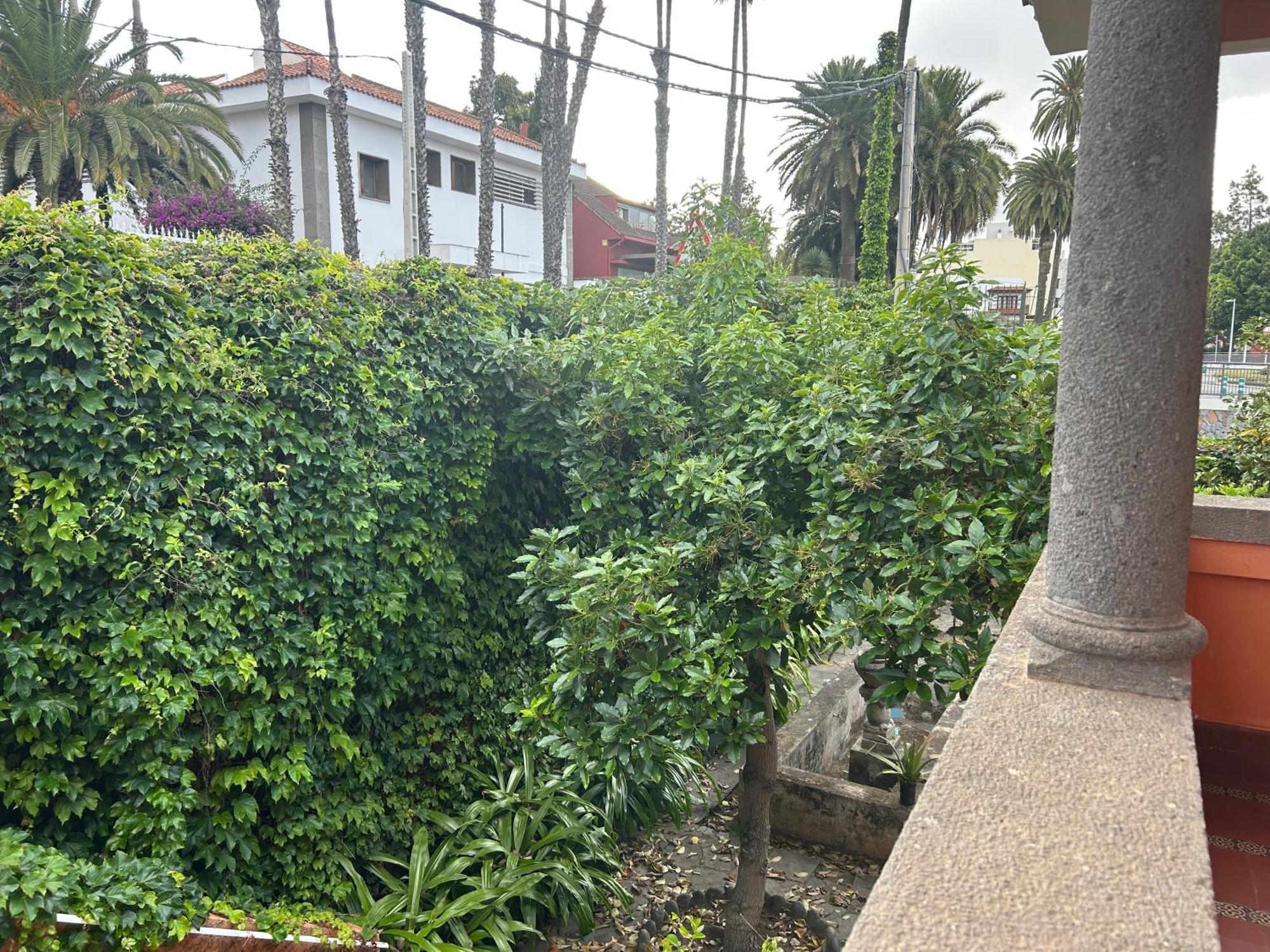 Casa Del Rio * Santa Brígida