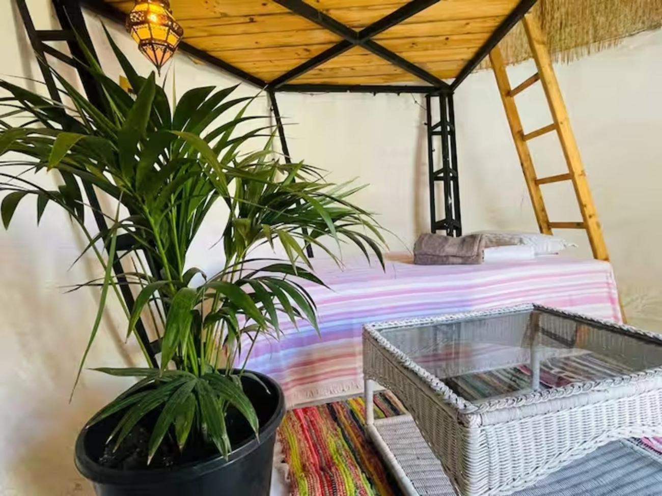 Camping Casa Caracol - Oaxaca Agaete (Gran Canaria)