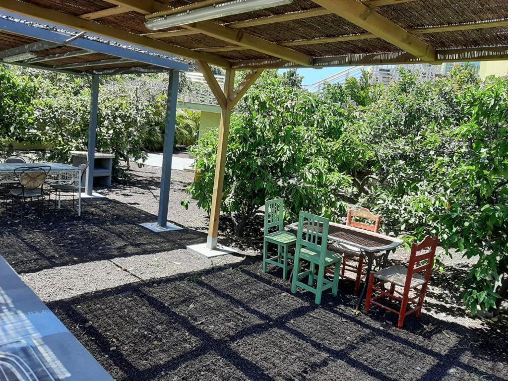Appartamento Oasis Holidays & Health - Con Terraza Y Solarium Telde