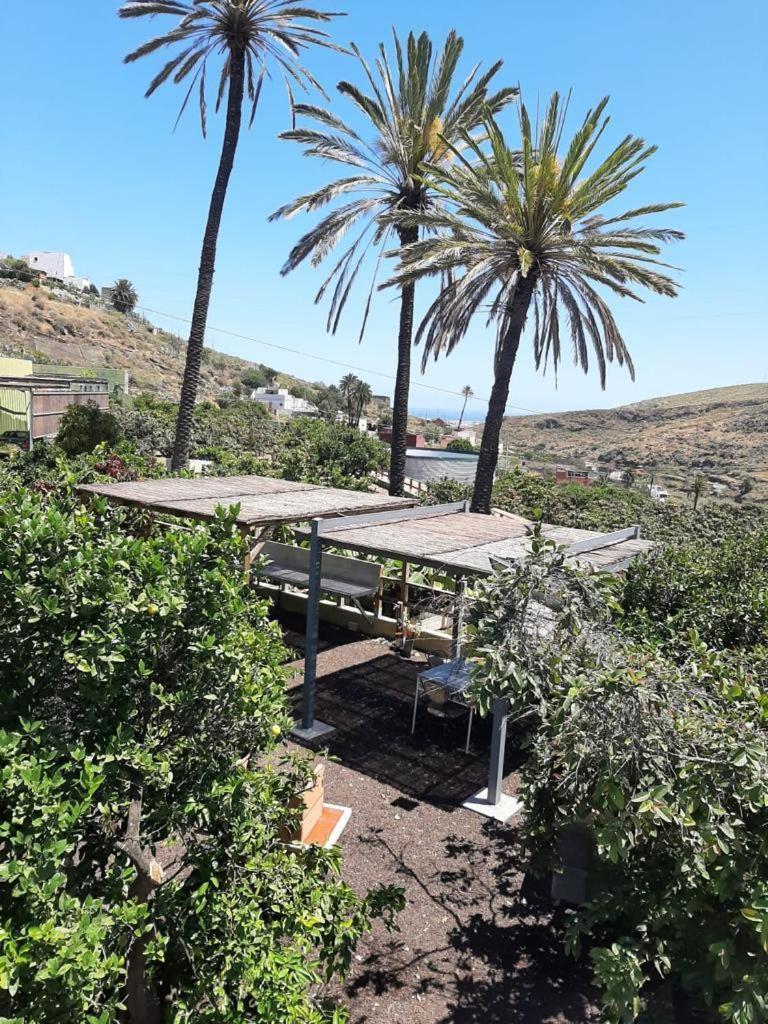 Oasis Holidays & Health - Con Terraza Y Solarium Appartamento