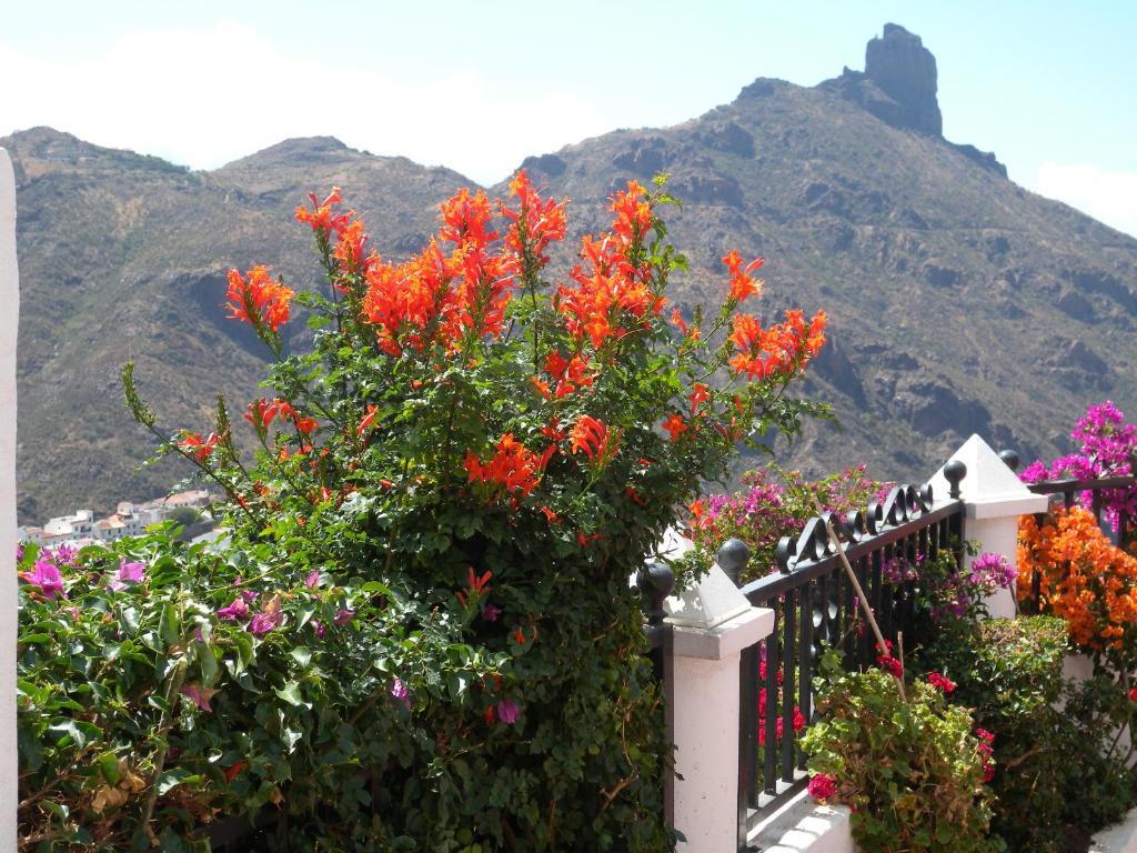 Casita Roque Nublo Tejeda (Gran Canaria)
