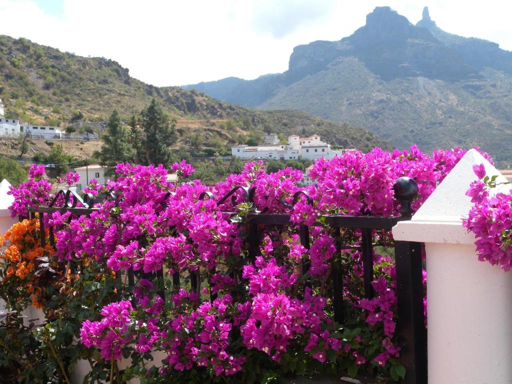 Casita Roque Nublo Casa vacanze Tejeda (Gran Canaria)