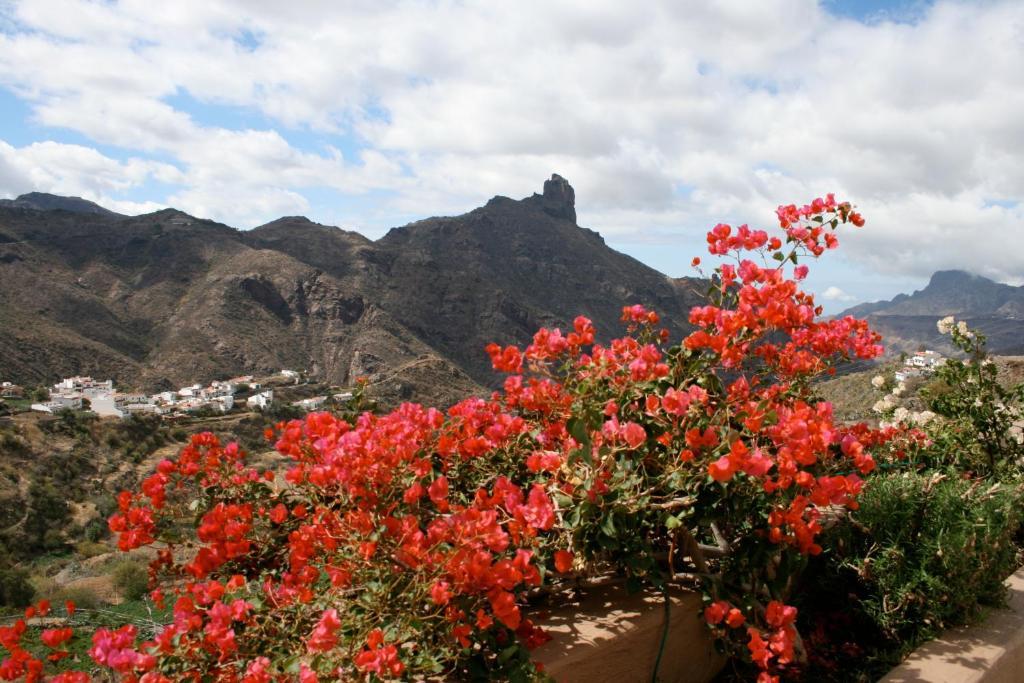 Casita Roque Nublo Casa vacanze *