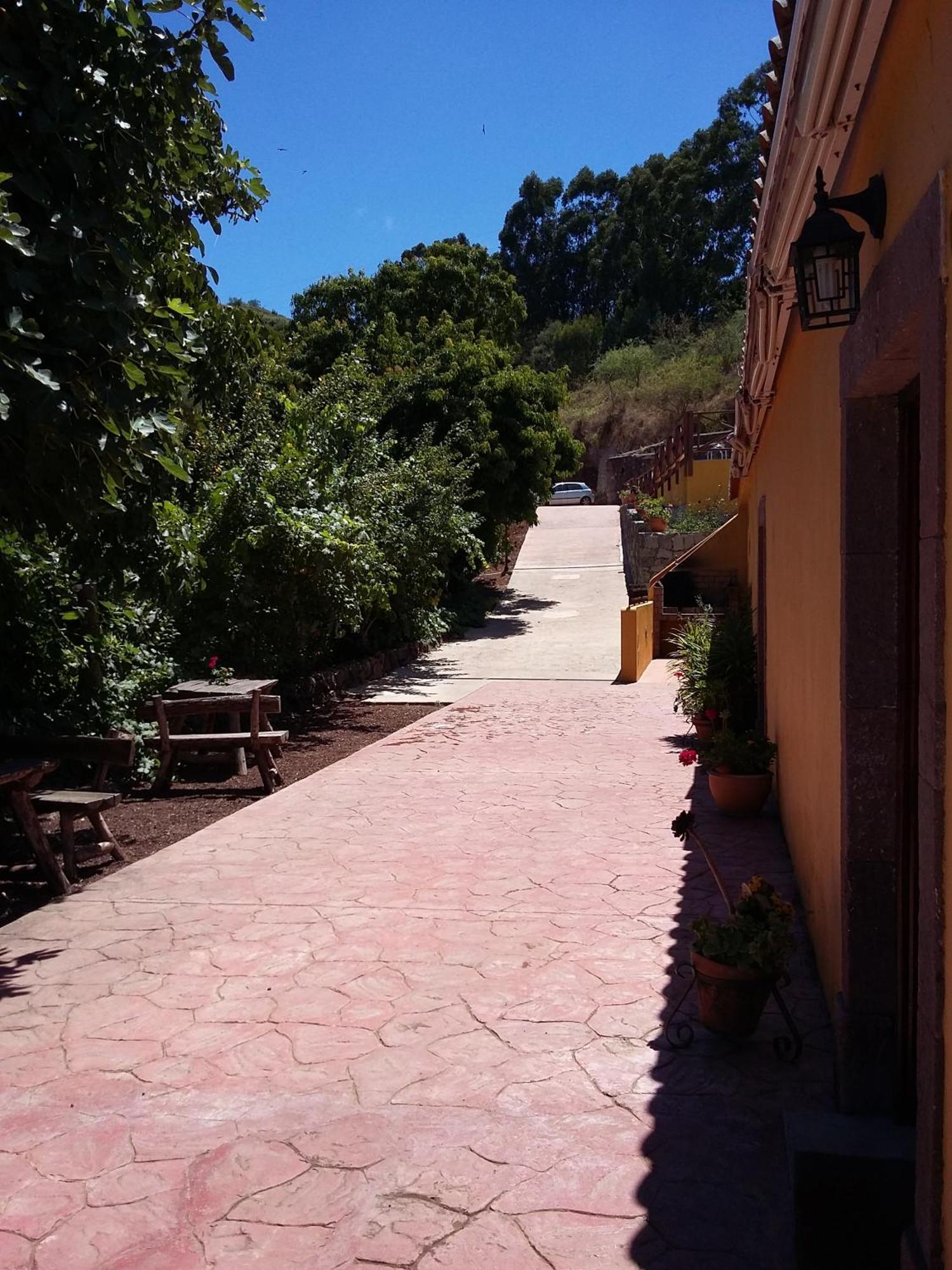 Naturacanaria Holiday home *