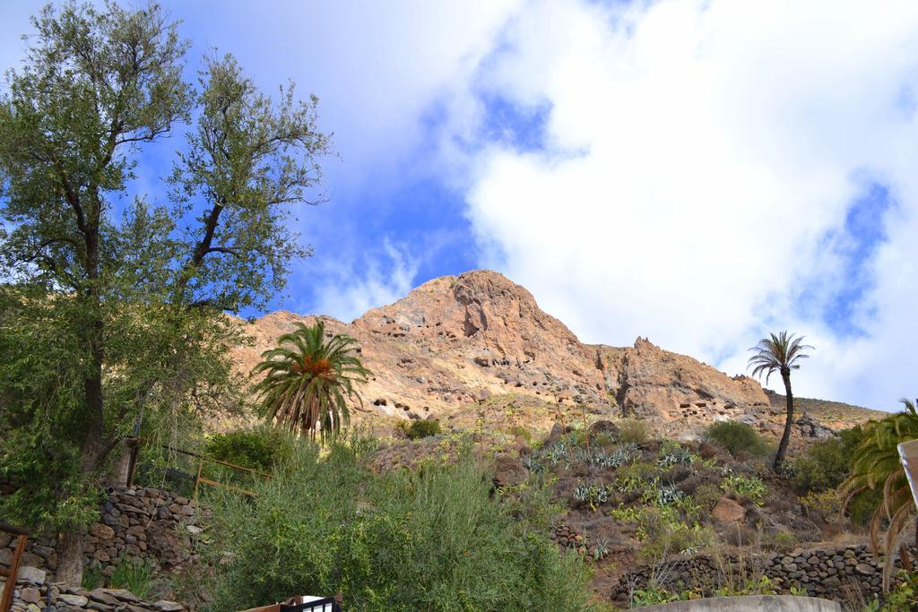 Finca Mariola San Bartolomé